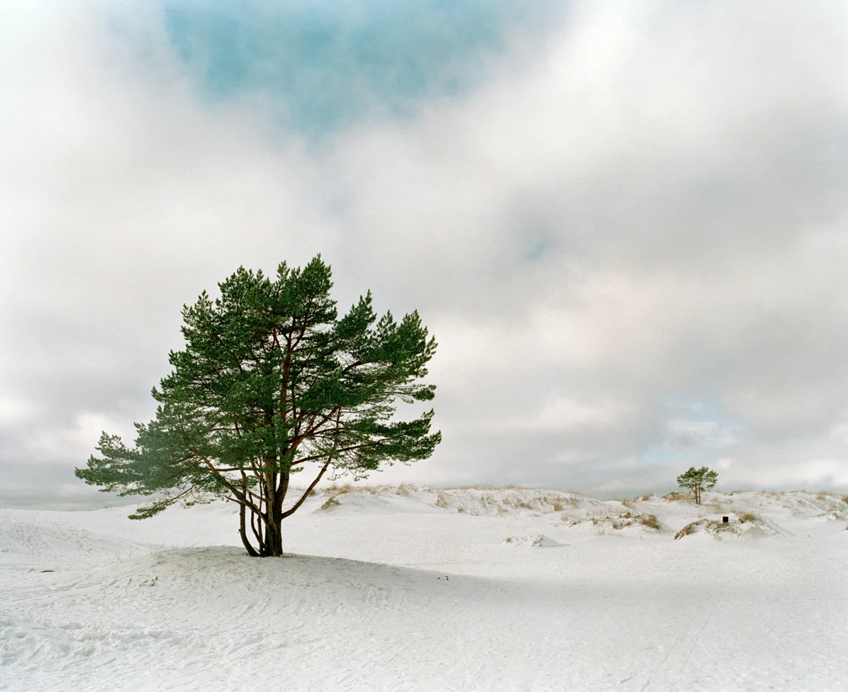 Sininen-Blå-Blue.jpg