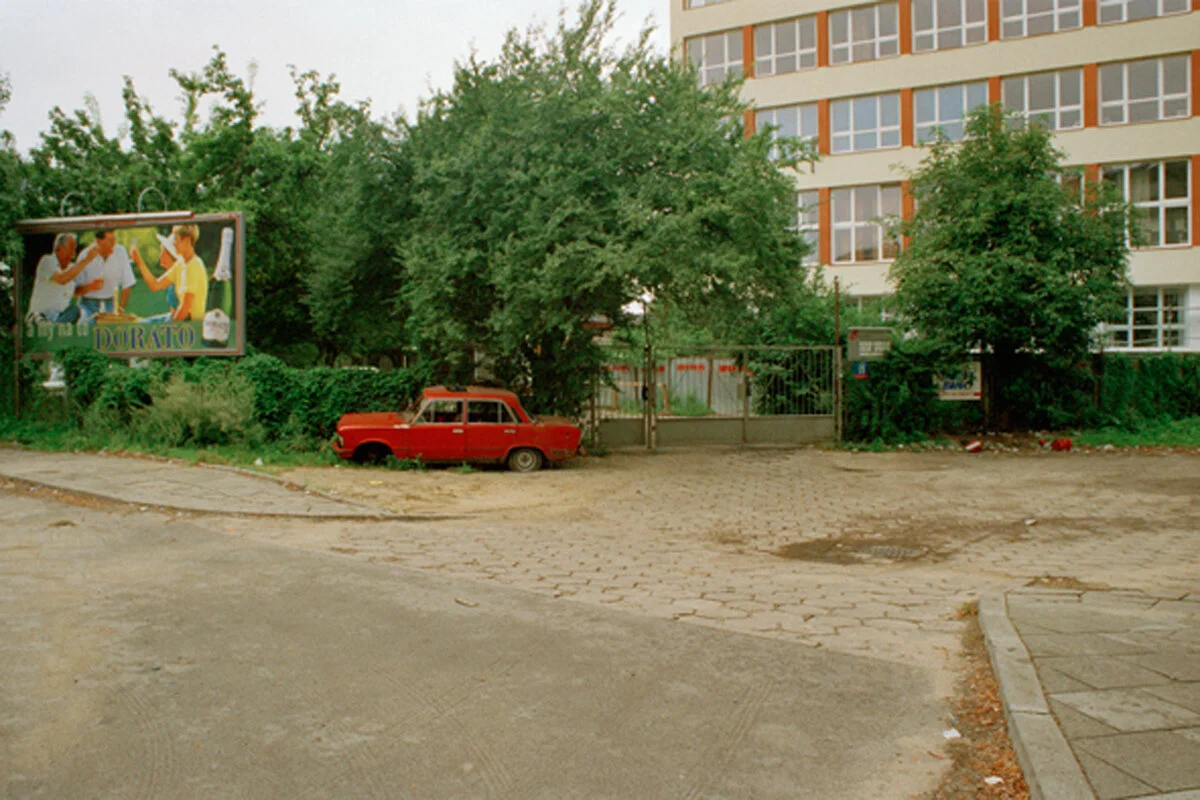 Dorato.jpg