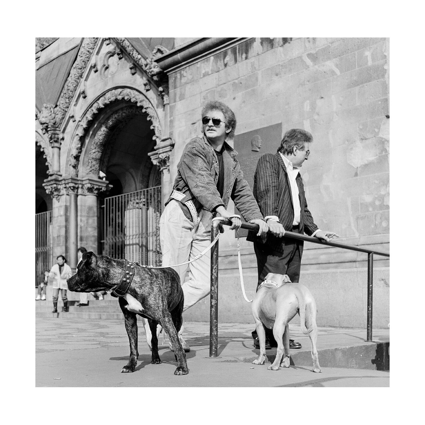 Berlin_hunde2.jpg