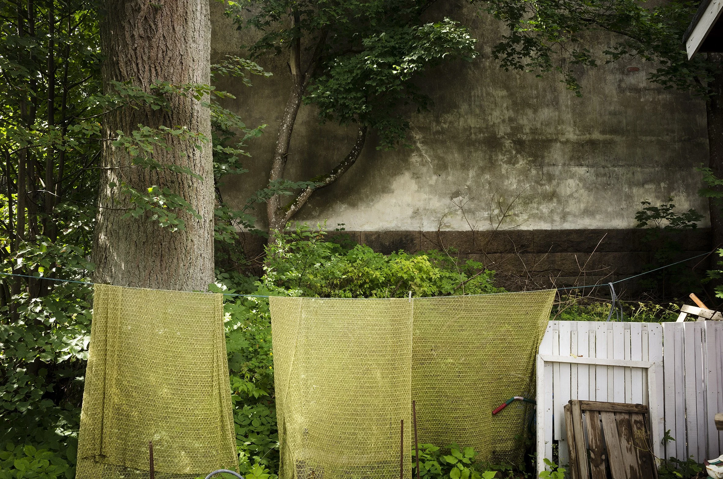 lovisa11.jpg