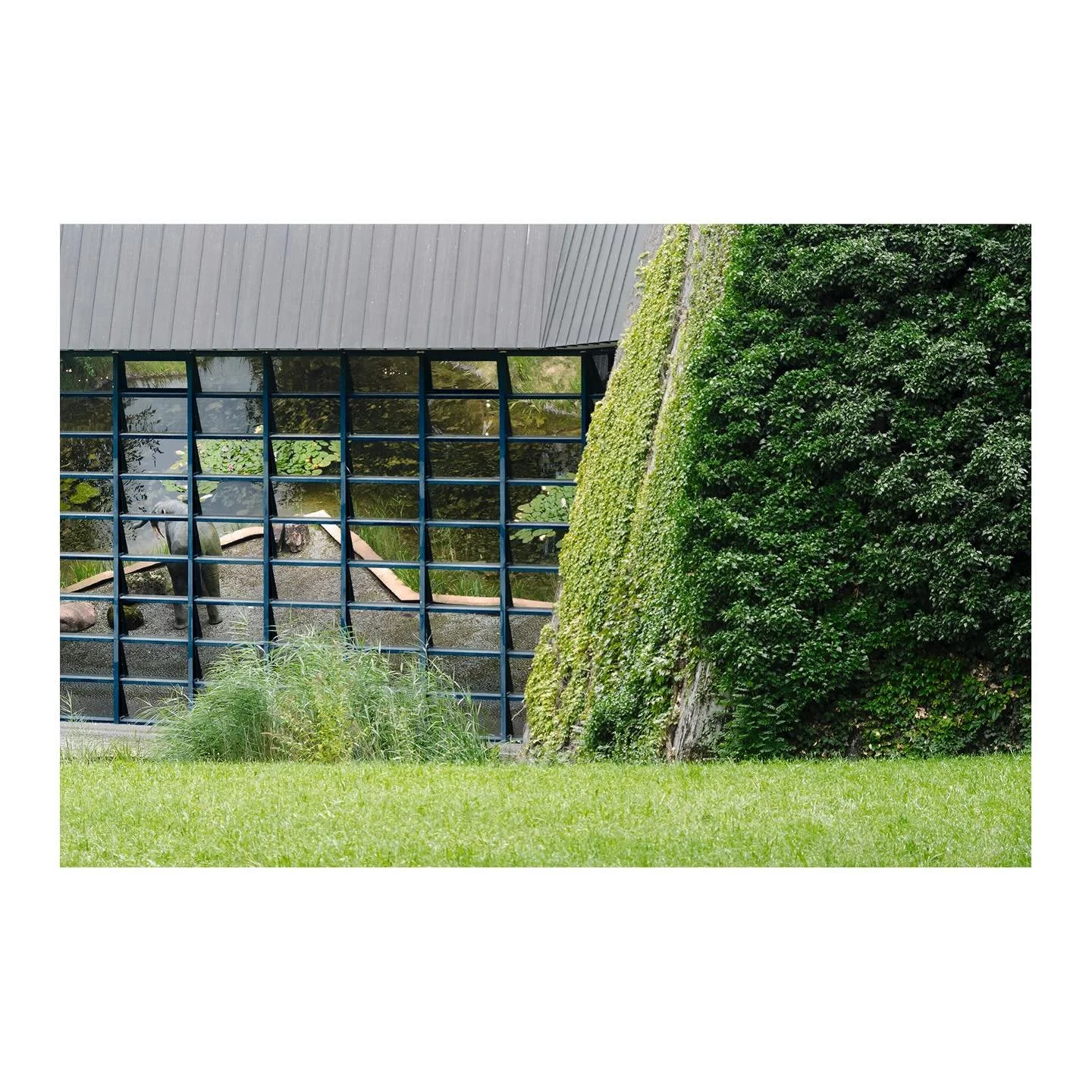 #stuttgart #elephant #history