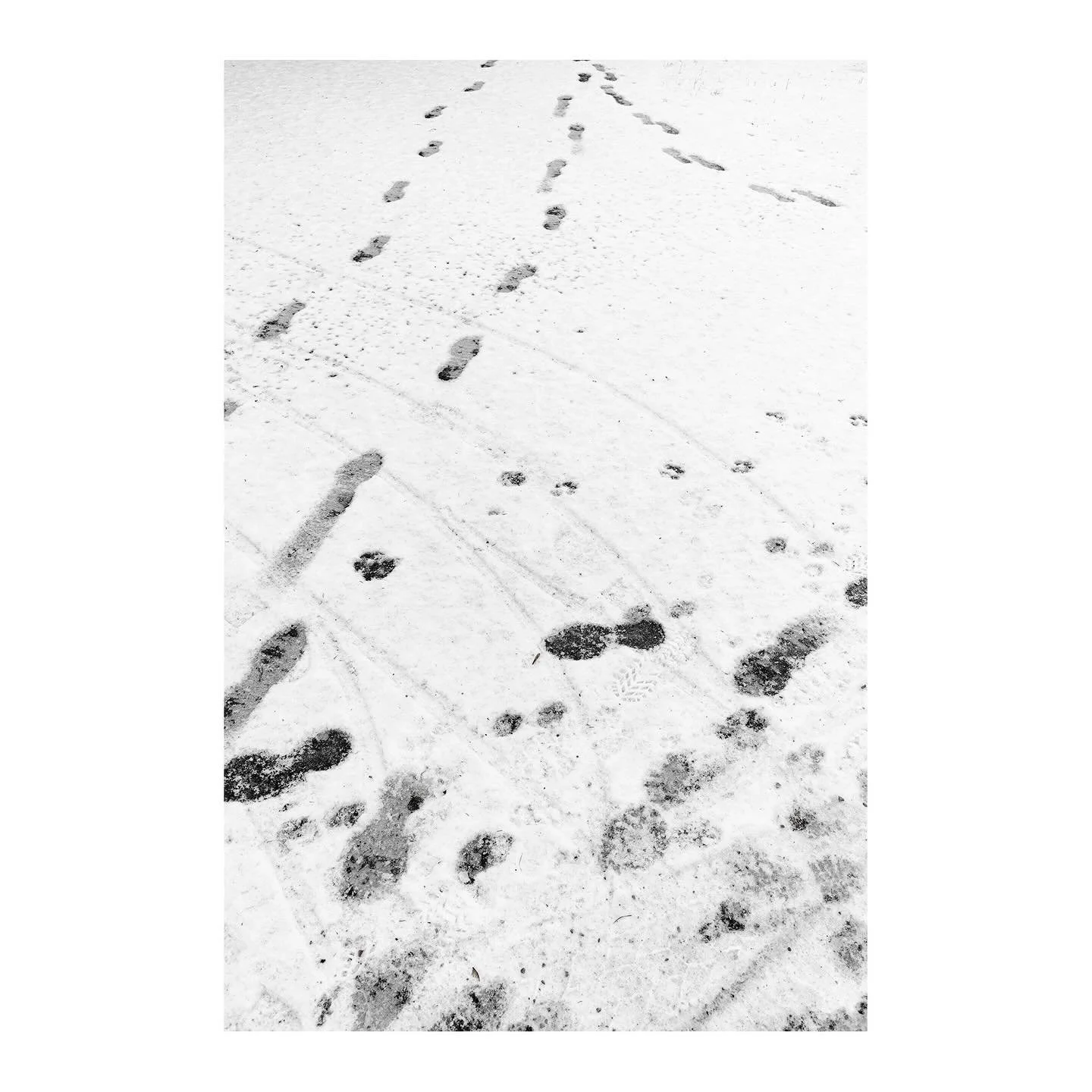 #snow #winter #people