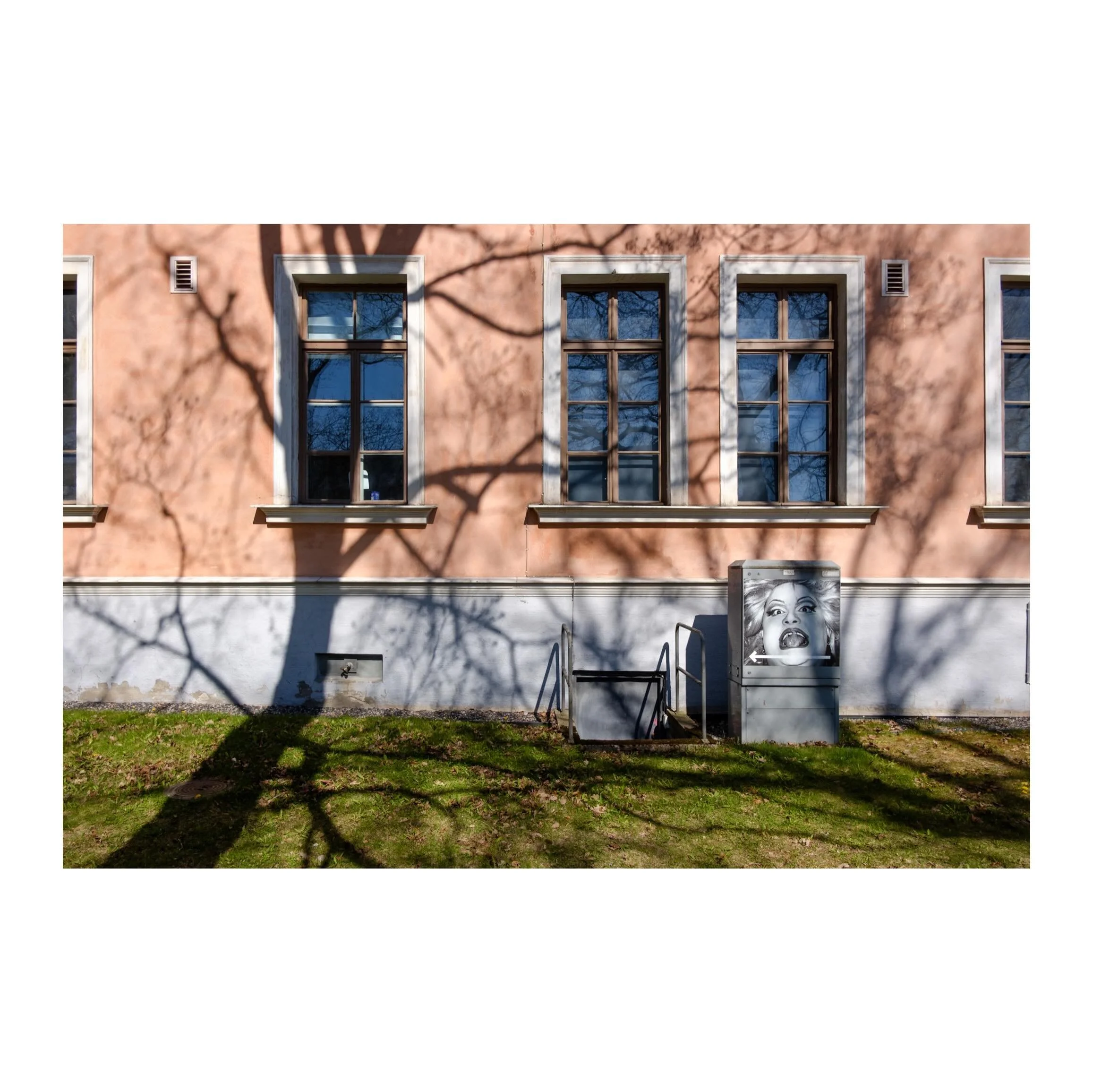 #spring #sunlight #shadow