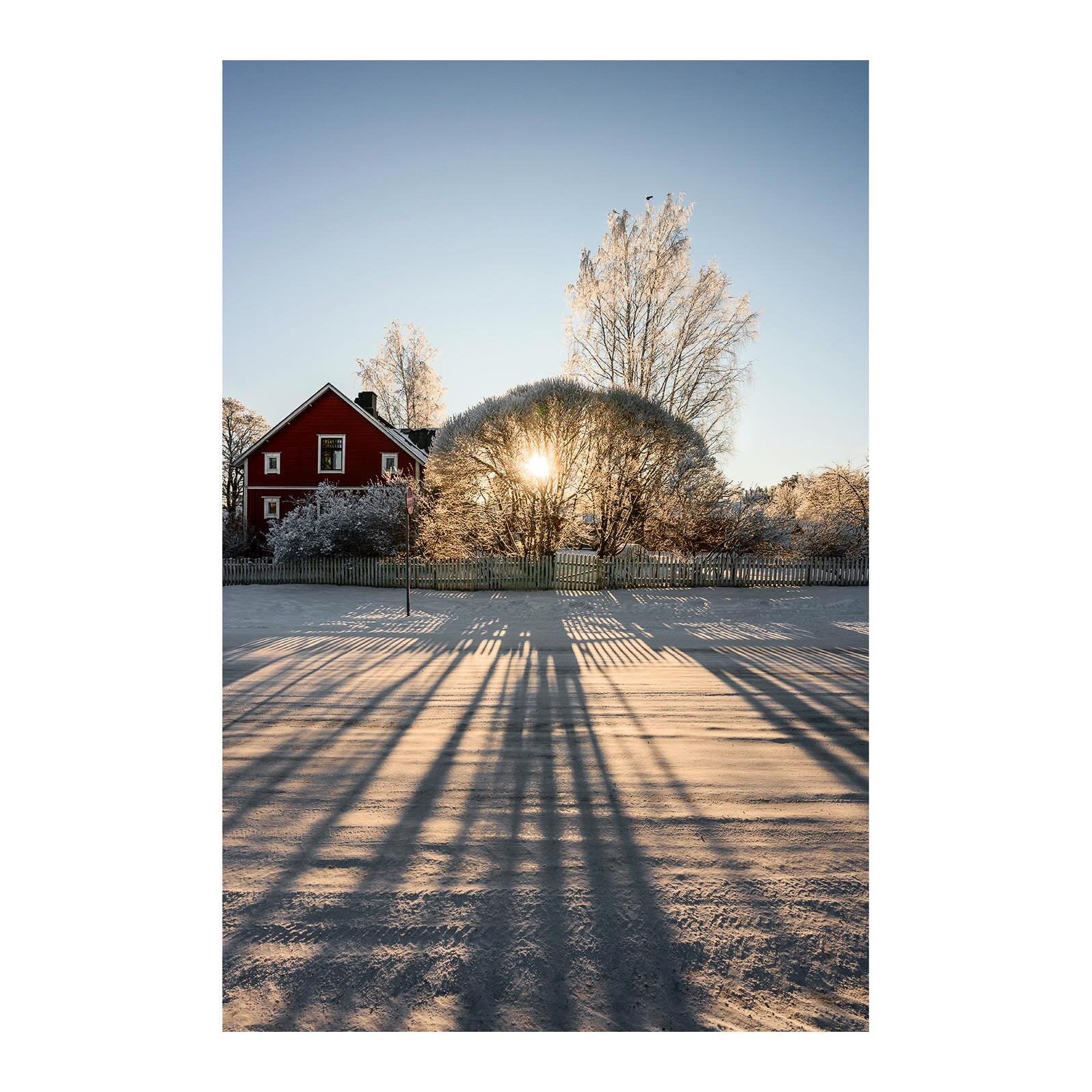 #spring #sun #snow