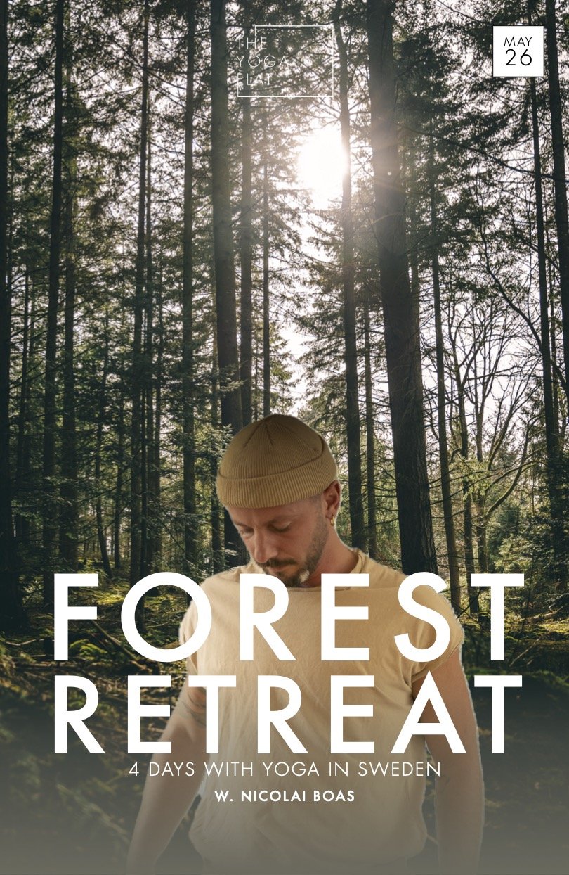 forest-retreat-the-yoga-flat.jpg