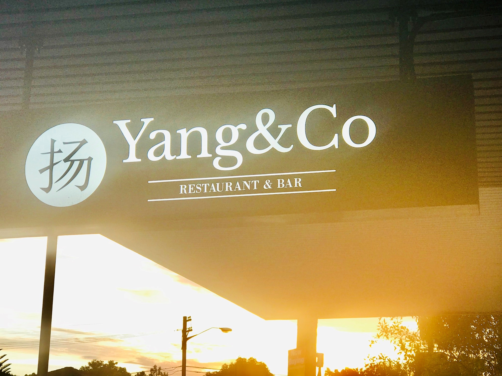 Yang23.jpeg