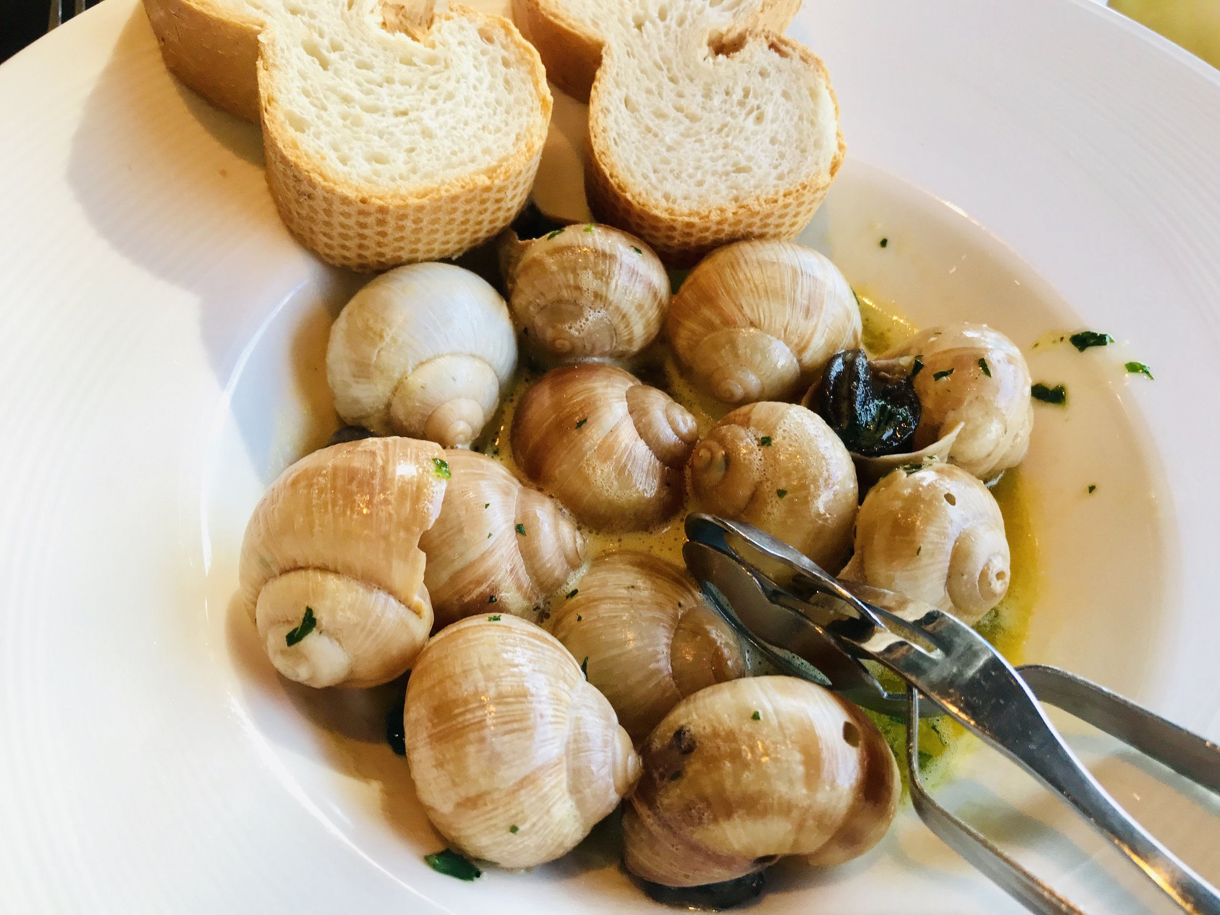 Snail18.jpeg