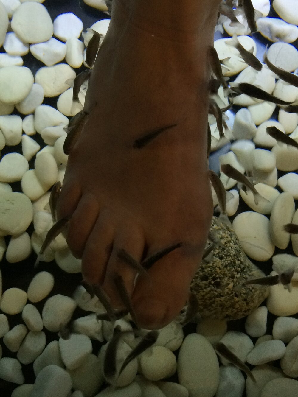 Feet fetish in Barcelona
