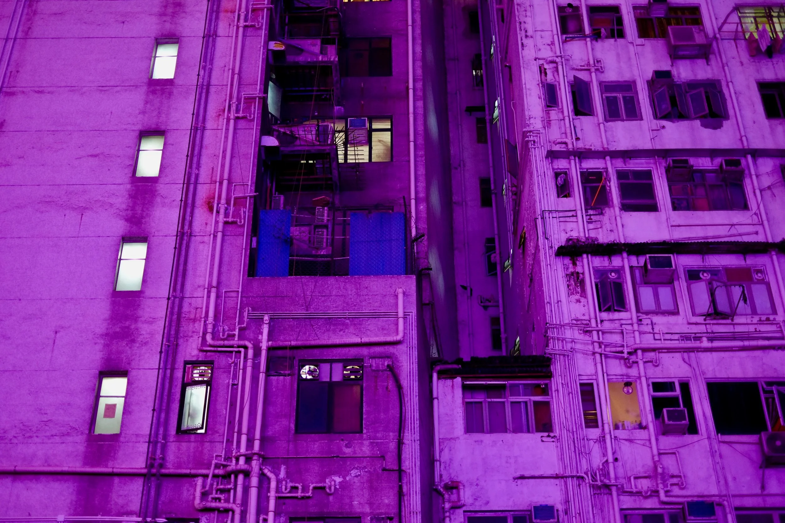 DSCF3980.jpg