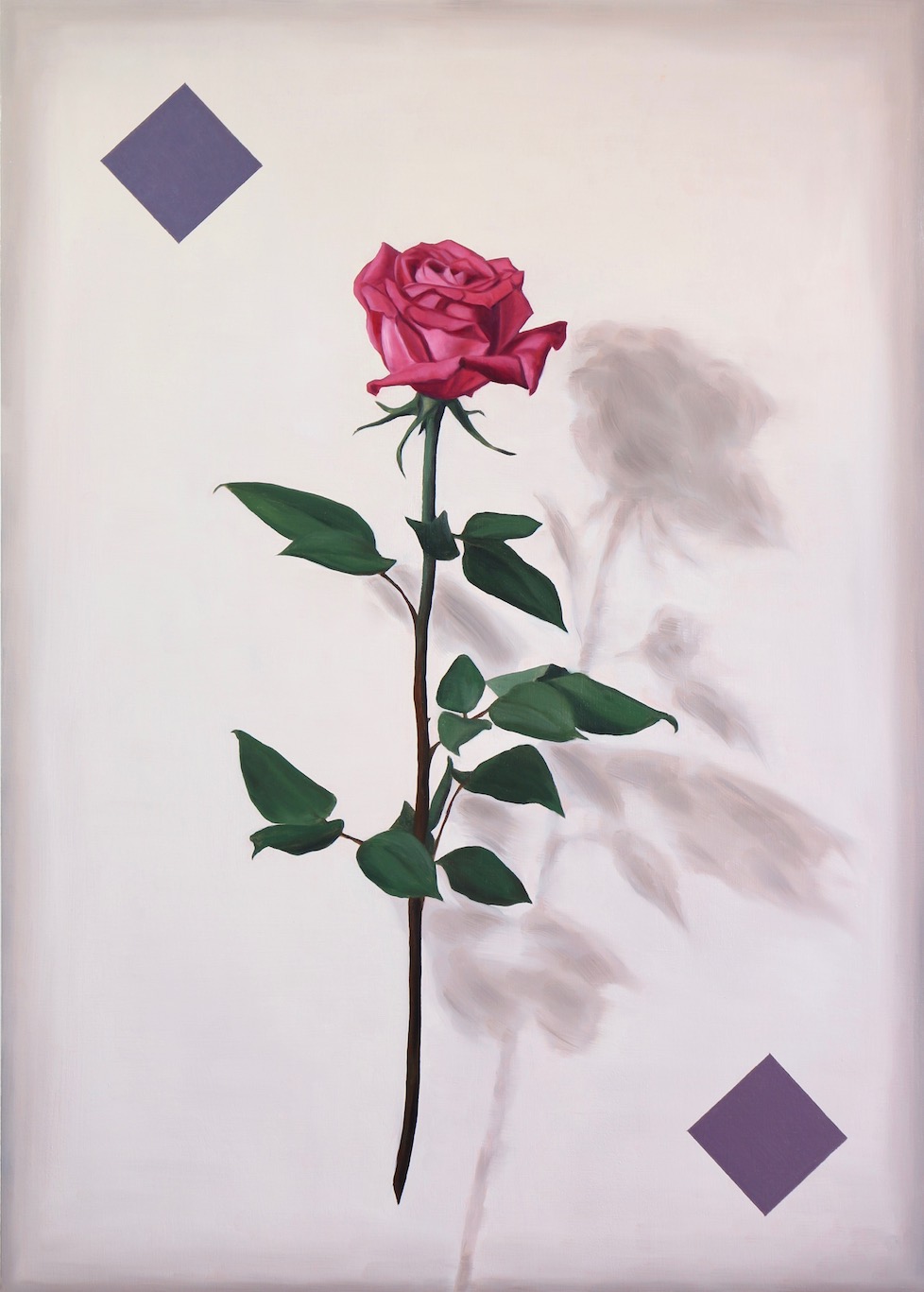 Portrait of a Rose, oil on wood panel, 70x50cm, 2018