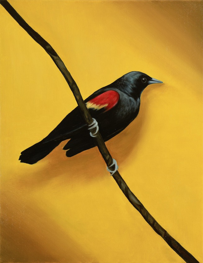 The Quiet Bird, Oil on canvas, 45x35cm, 2019