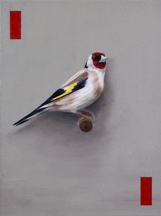 The Goldfinch, Oil on canvas, 40 x 30cm, 2019.jpg