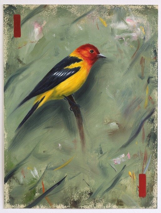 The Yellow Cardinal, oil on paper, 41 x 31cm, 2019