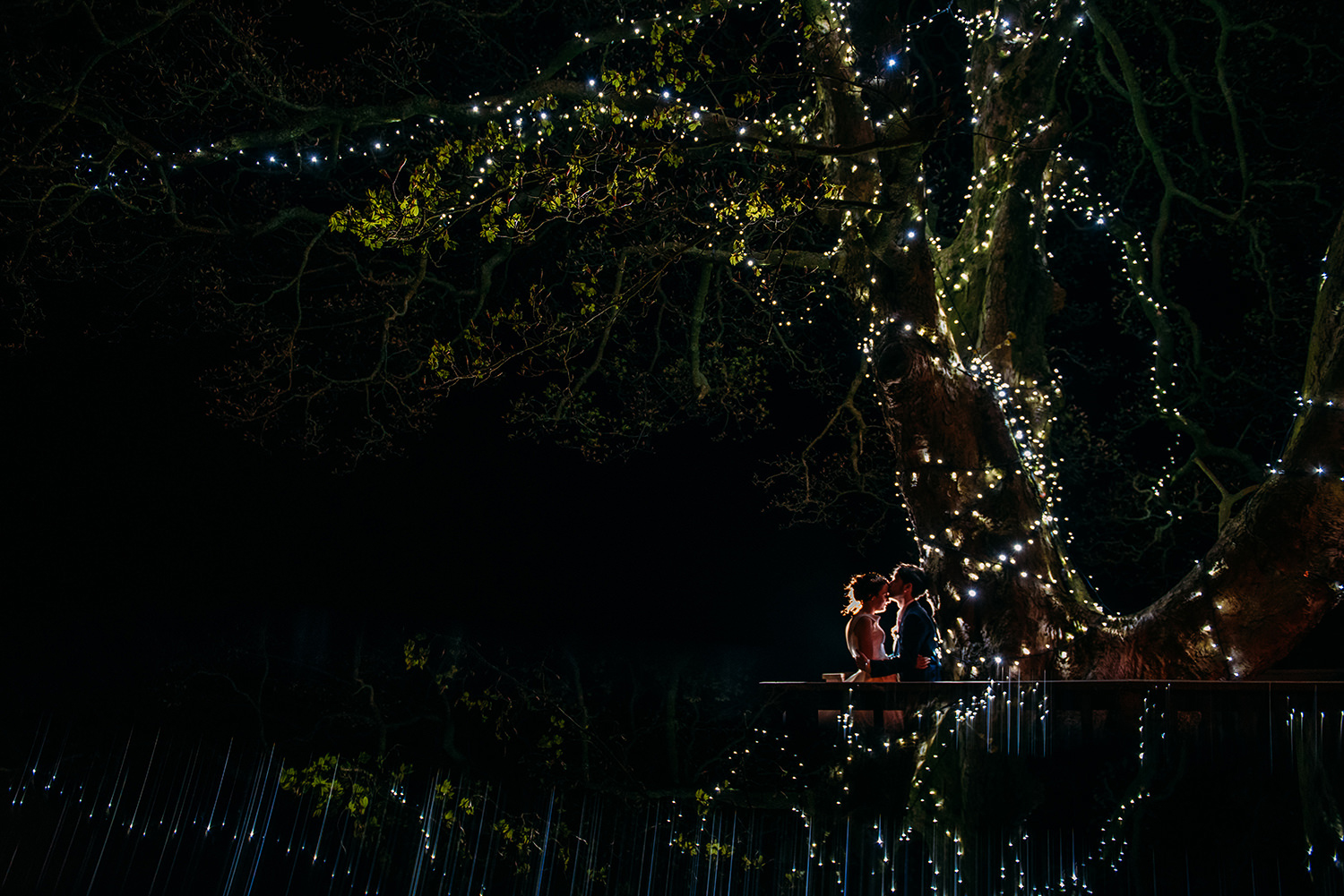  bride and groom under a big fairy-lit tree at night 