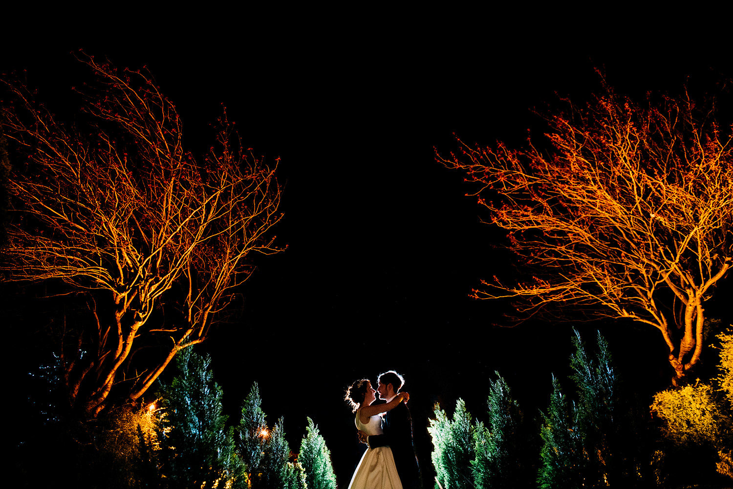  night time portrait of bride and groom kissing between two trees 