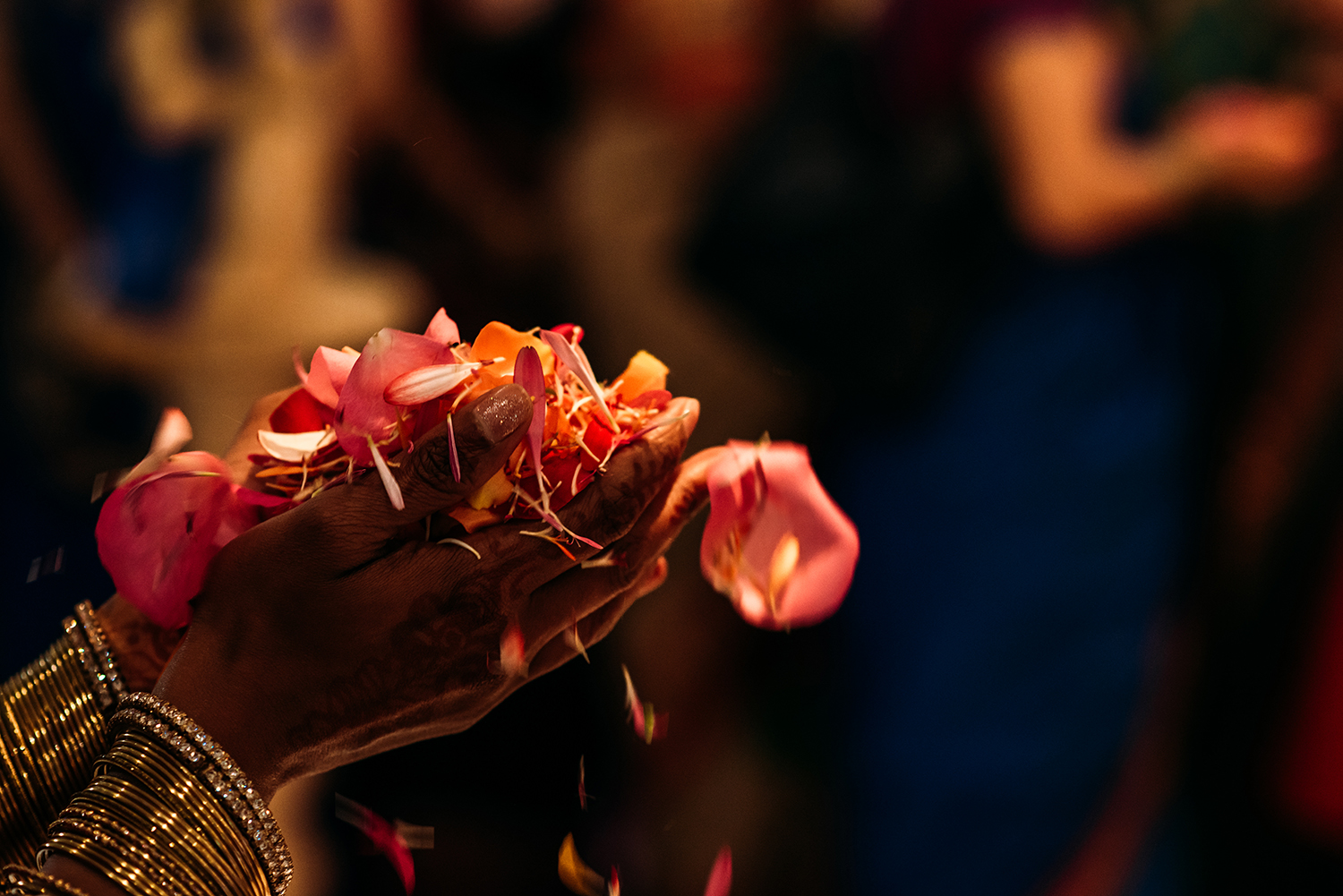  close up of flower petals in hands 