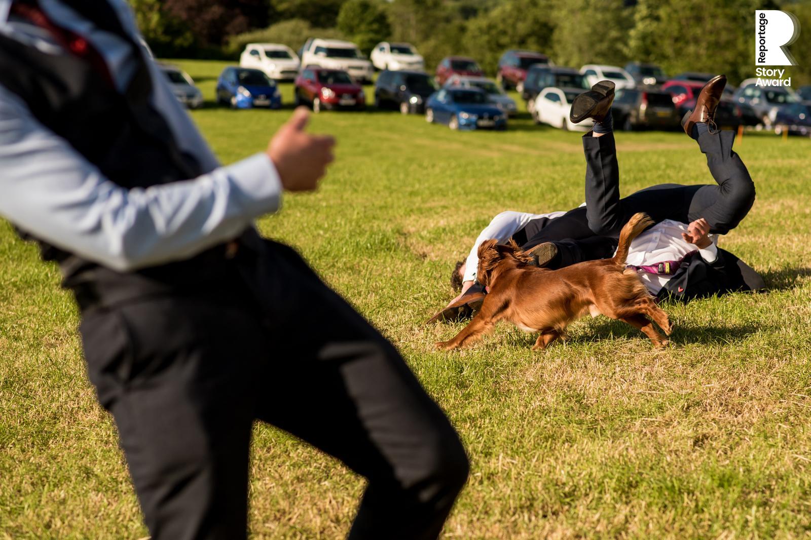 two men collide at first base and a dog charges at them