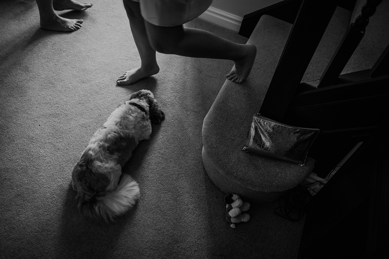  BW photo of people walking around a sleeping dog at the bottom of the stairs 