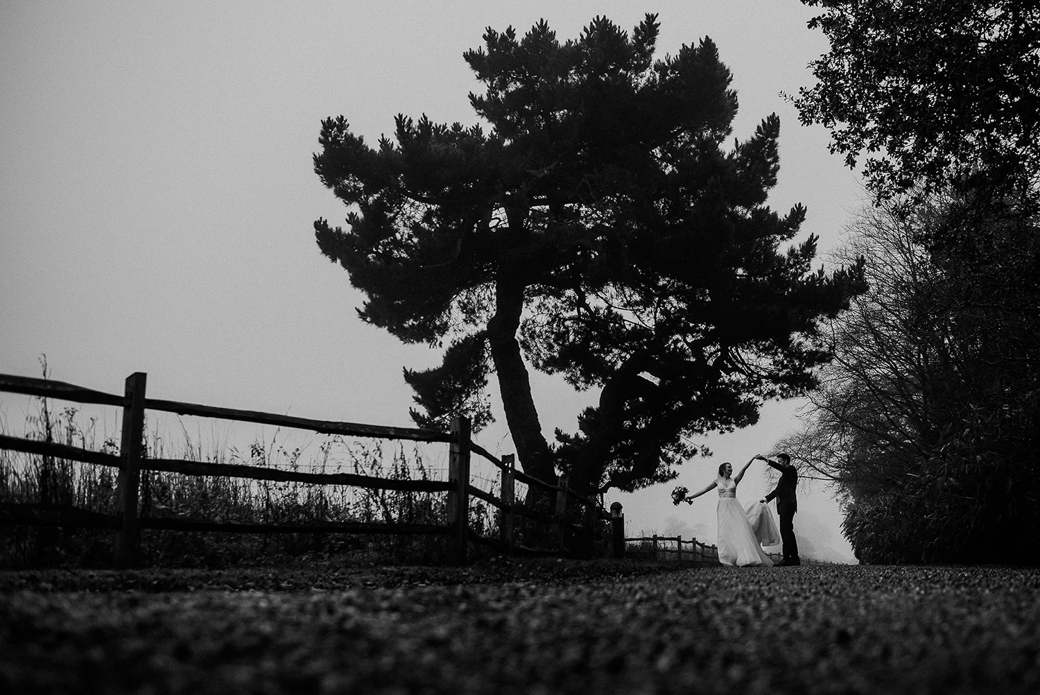 BW photo of the couple dancing under the tree