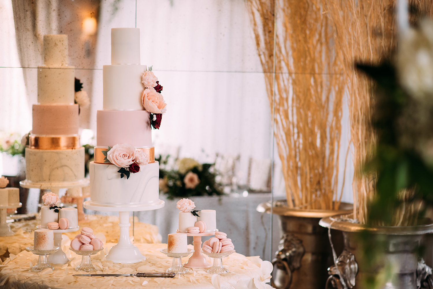 photo of the cake