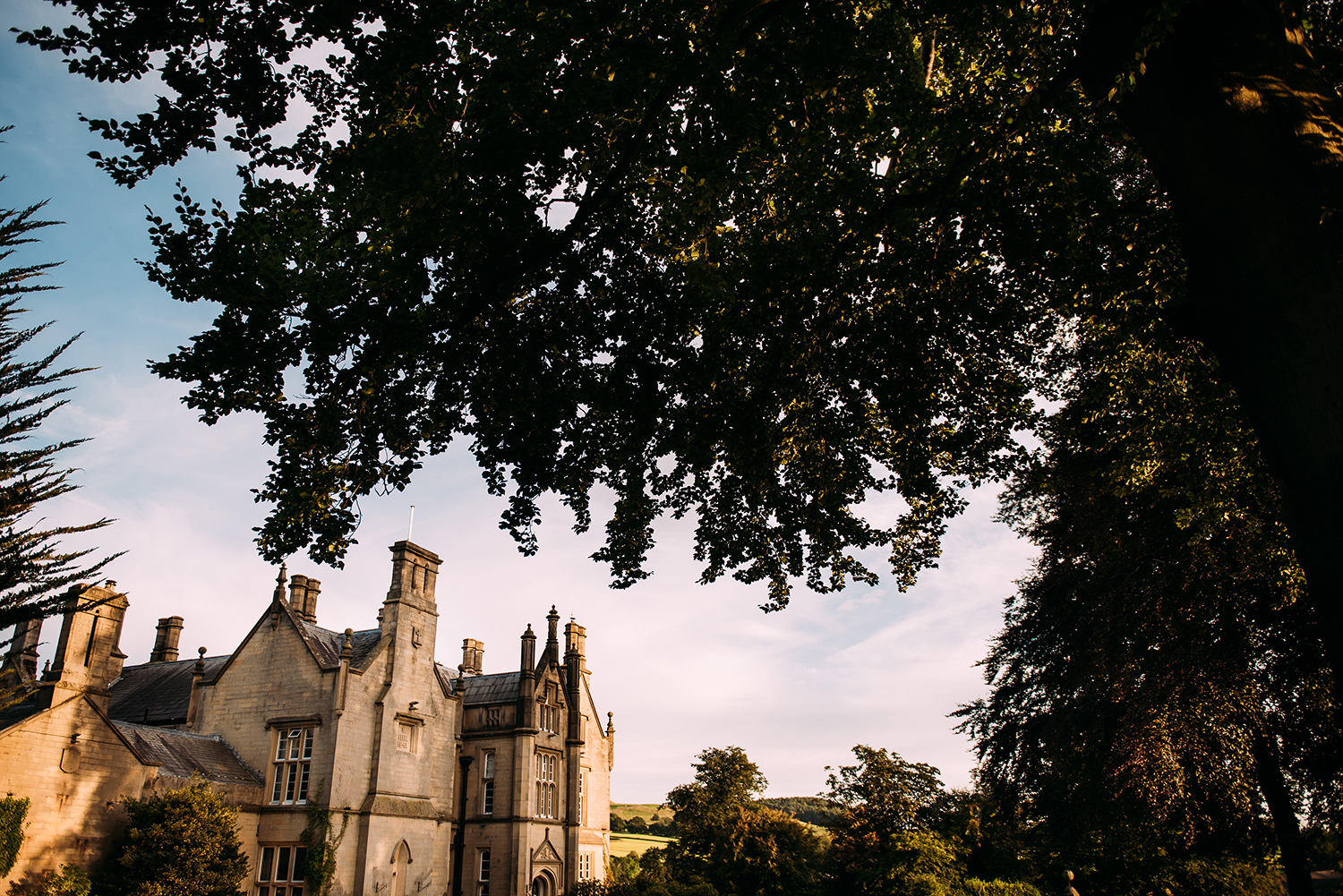 falcon manor
