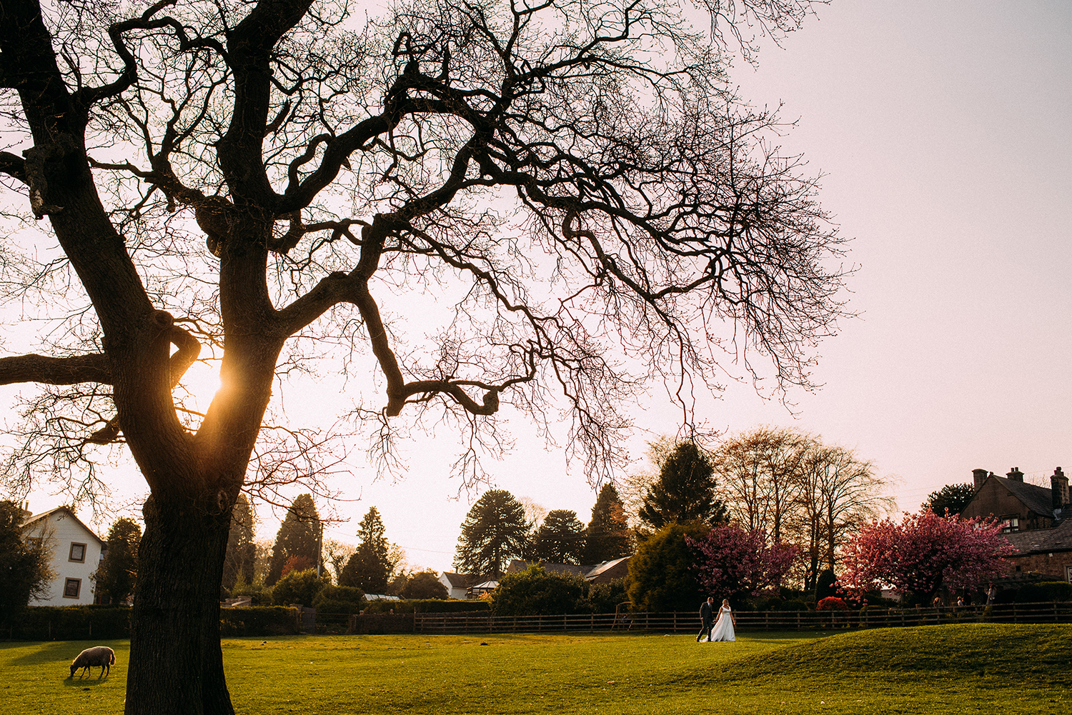 bride and groom walking through the field at the back of the Shireburn arms