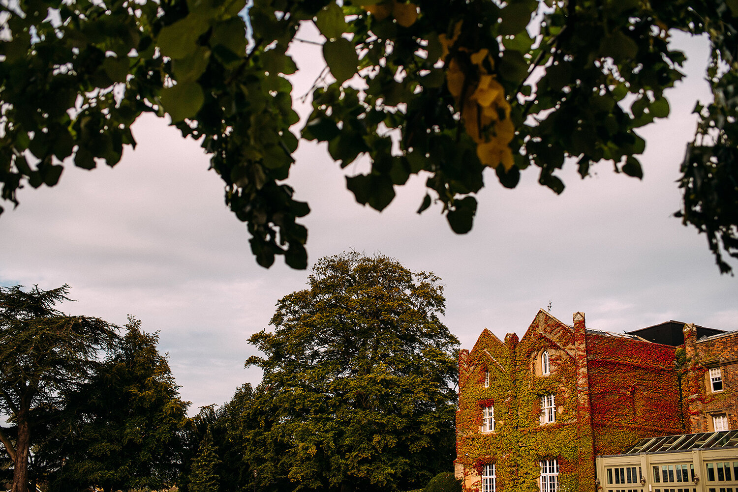  outside shot of Offley place 