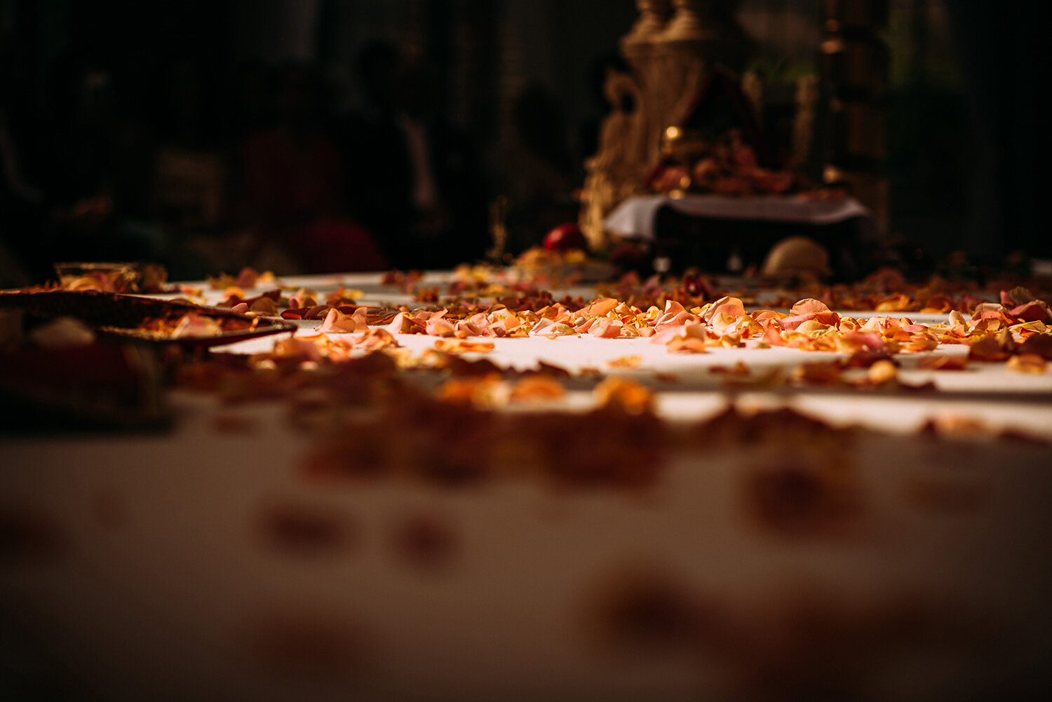  a line of light illuminates flower petals on the floor 