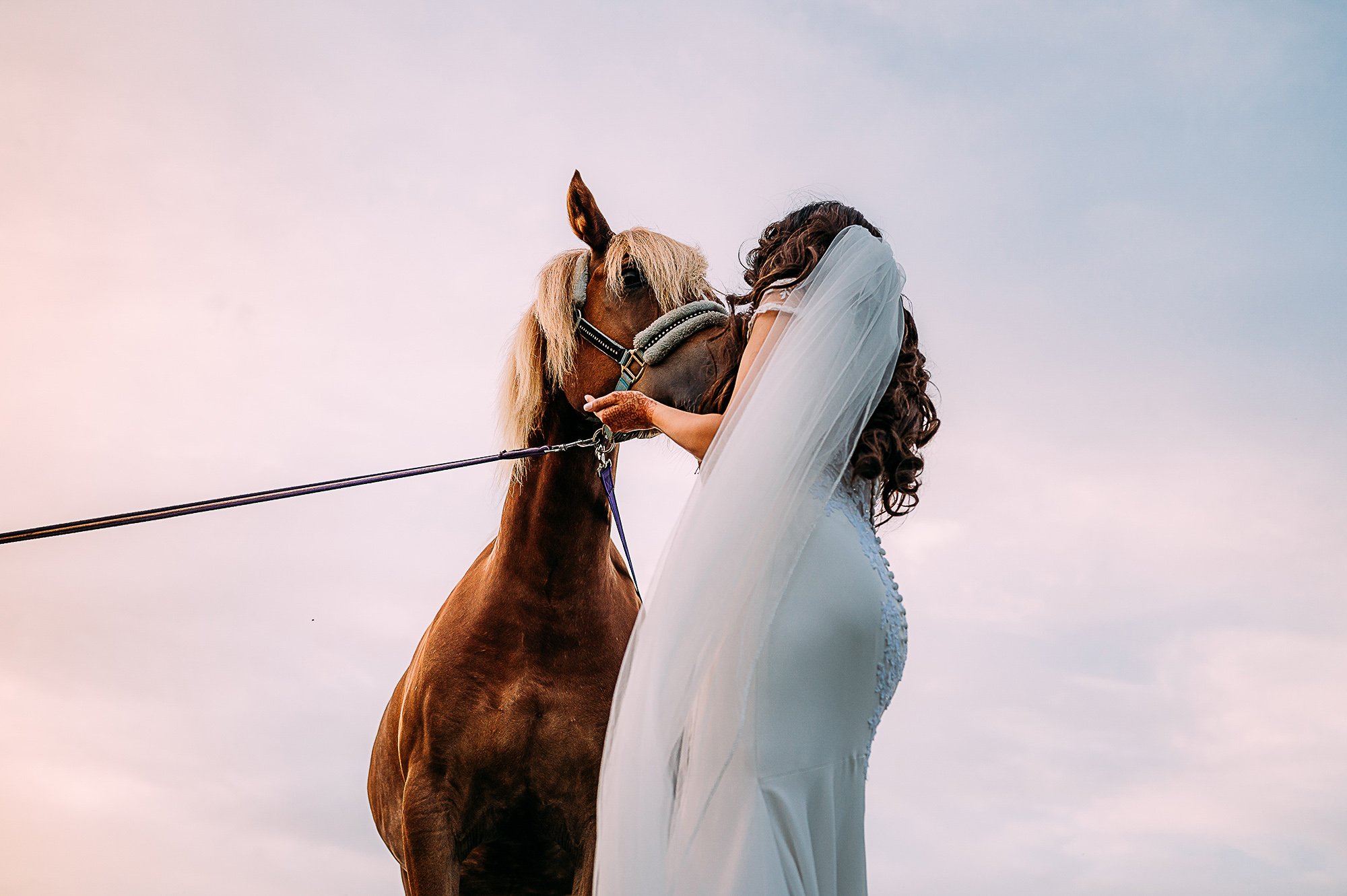  Bride kissing the horse she has just received as a wedding gift. 