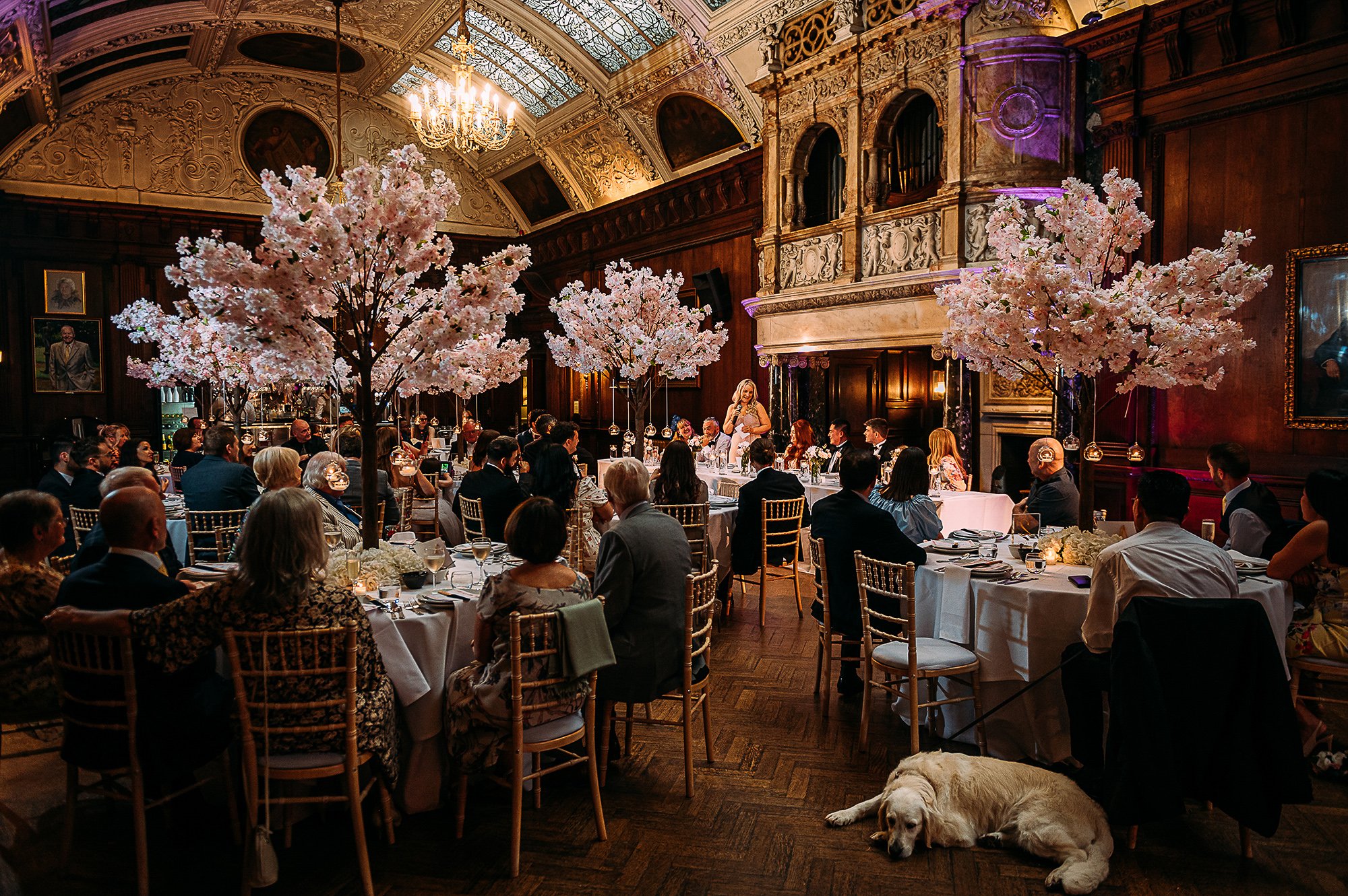  Bridesmaid speech at Thornton Manor with a dog asleep at the front. 