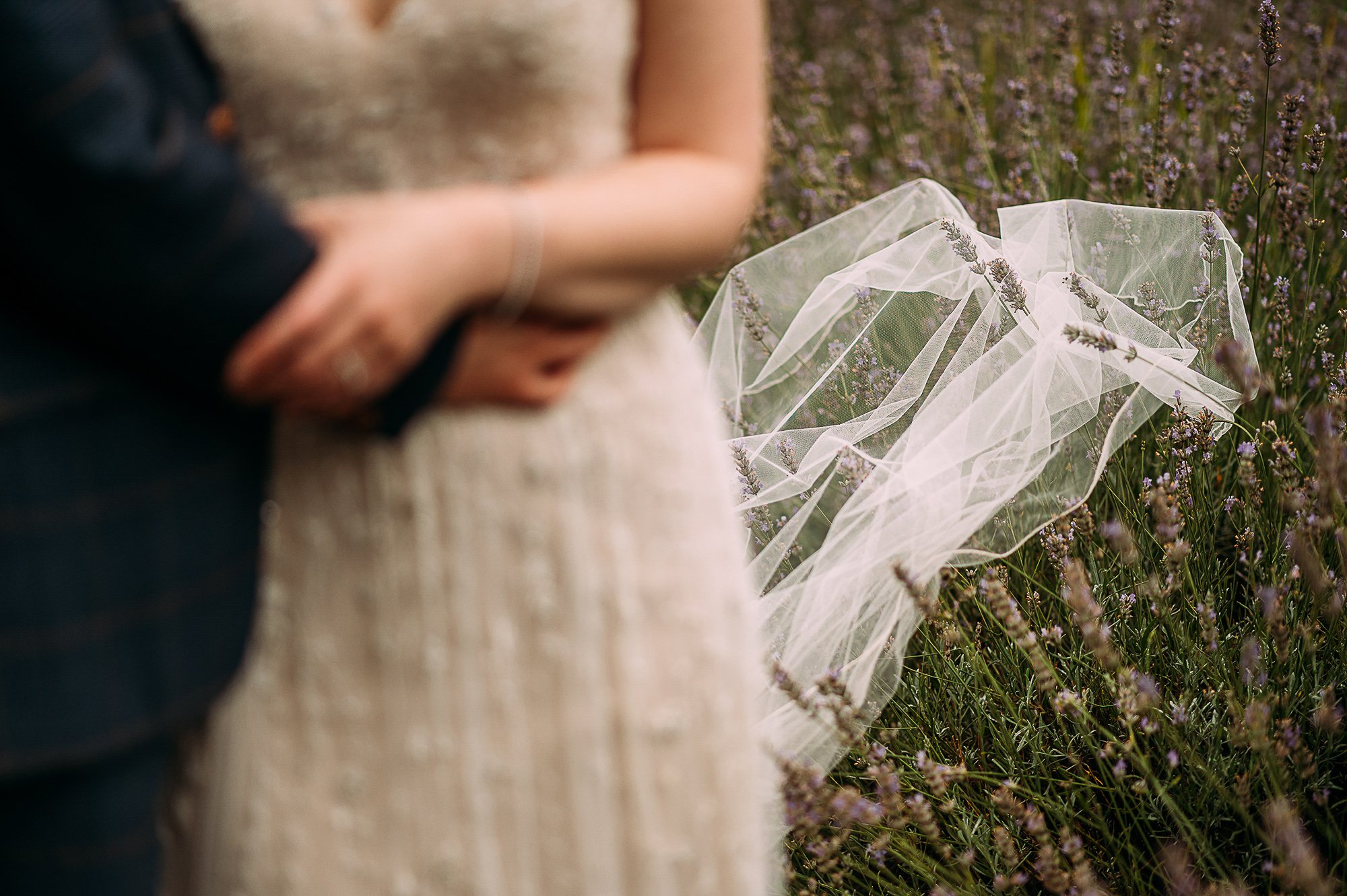  Brides veil stuck on a lavender bush. 