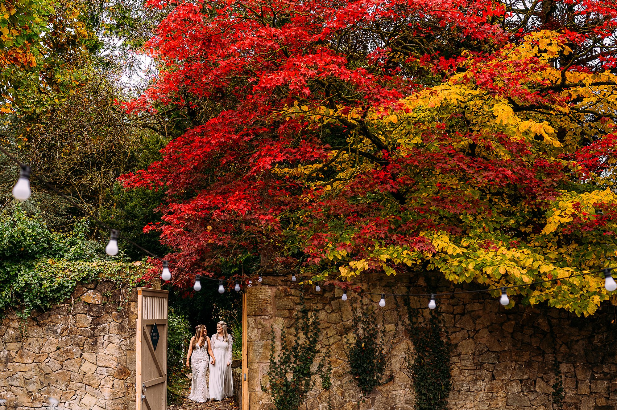  2 brides walking under red leaves at Wyresdale Park. 