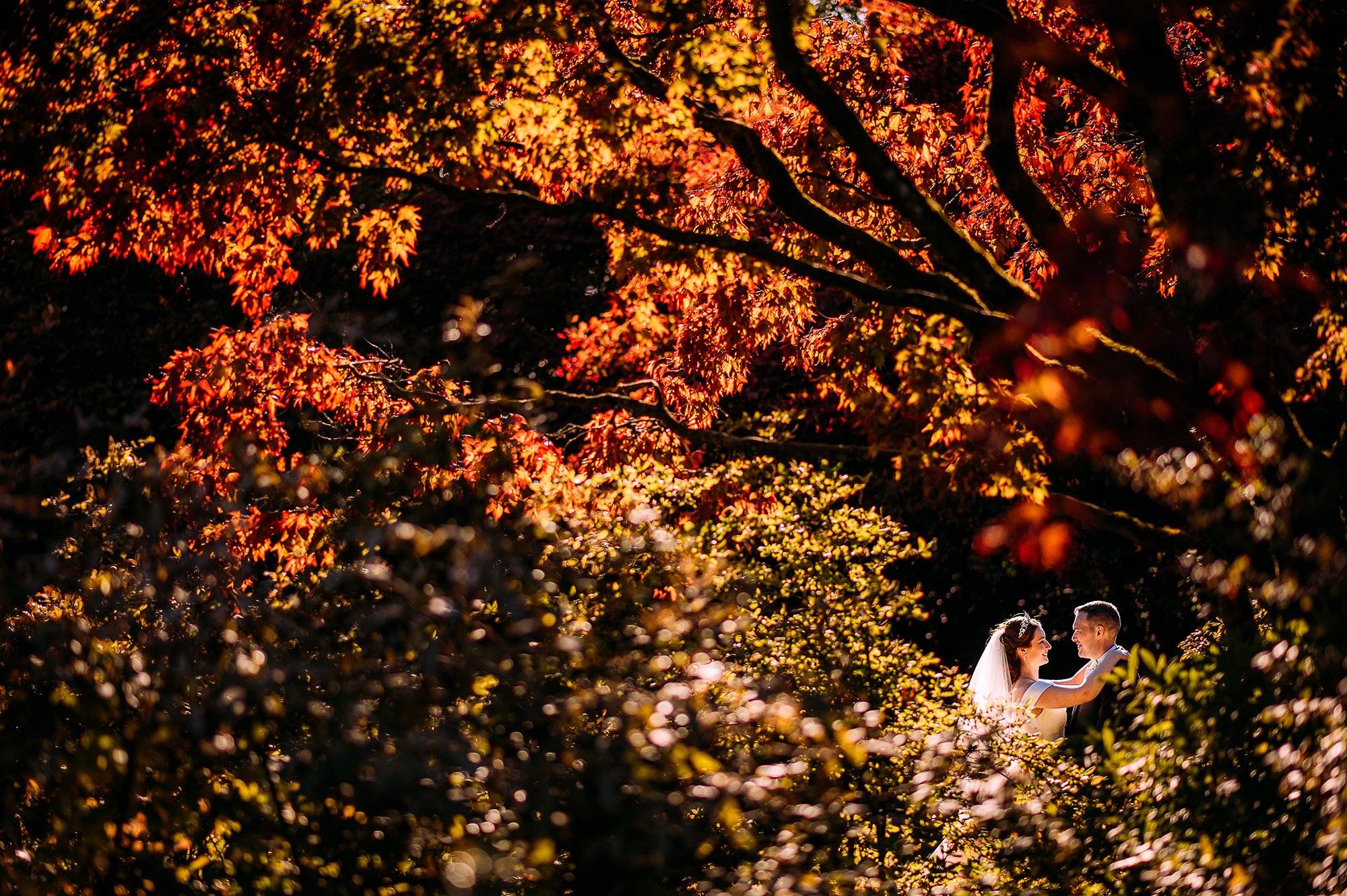  golden hour couple portrait shot through colourful leaves. 