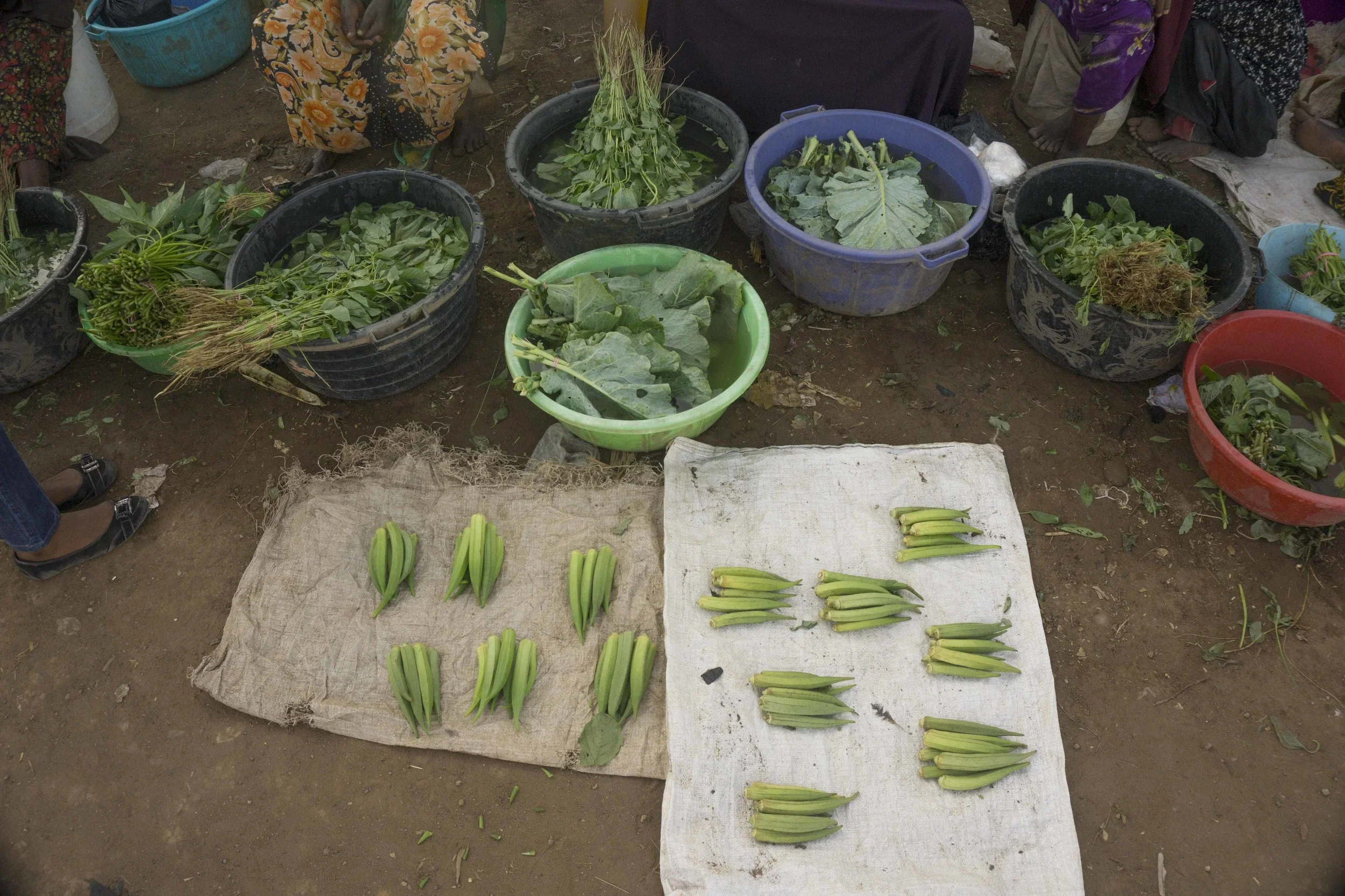 Okra and kale in one of Kakuma refugee camp's markets