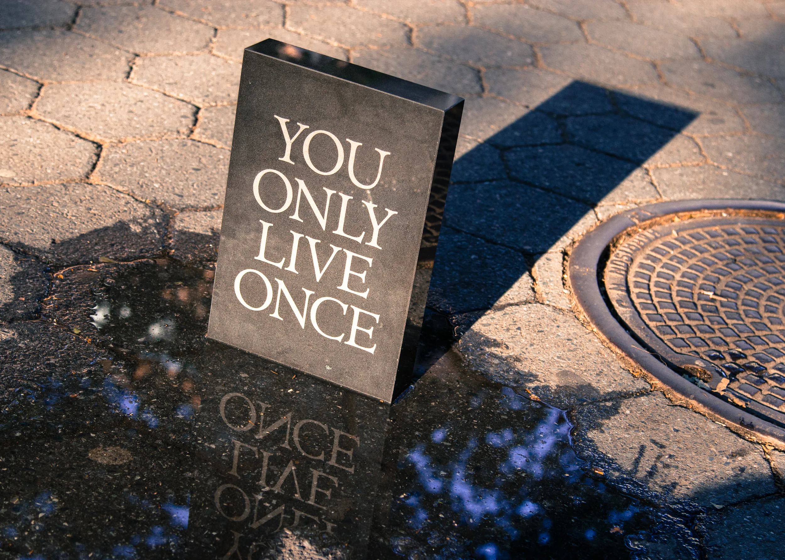 YOLO Shoot B-7289.jpg