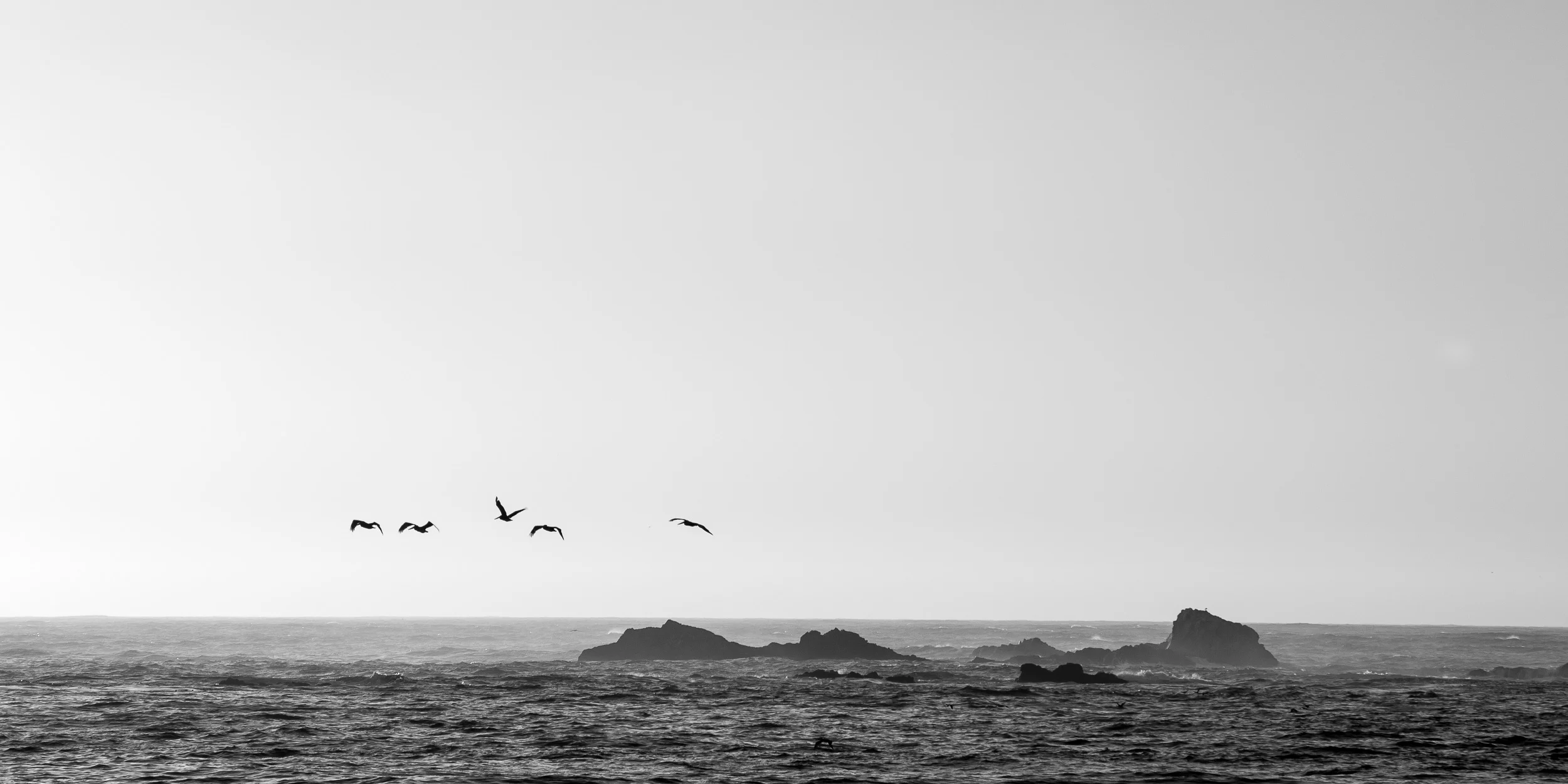 BigSur-3762.jpg
