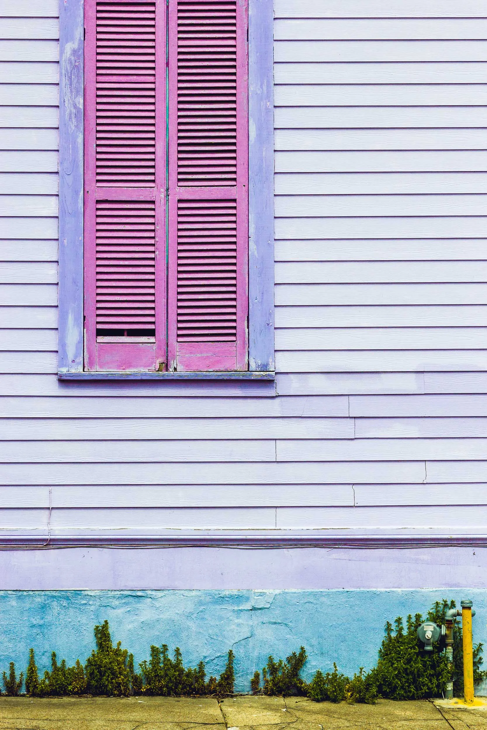 Nola-9787.jpg