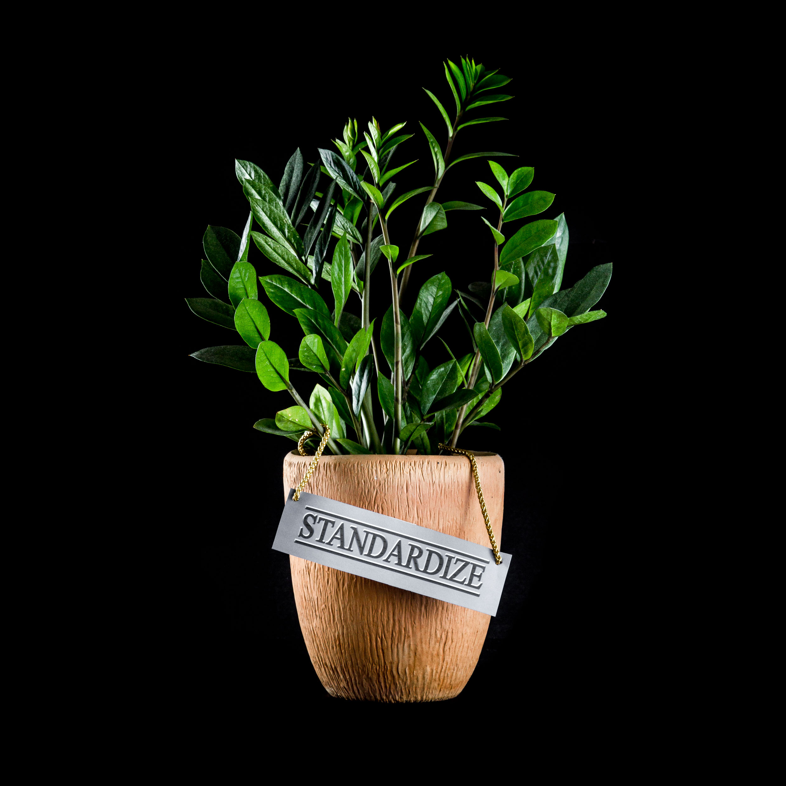 Houseplant-4036-Edit.jpg
