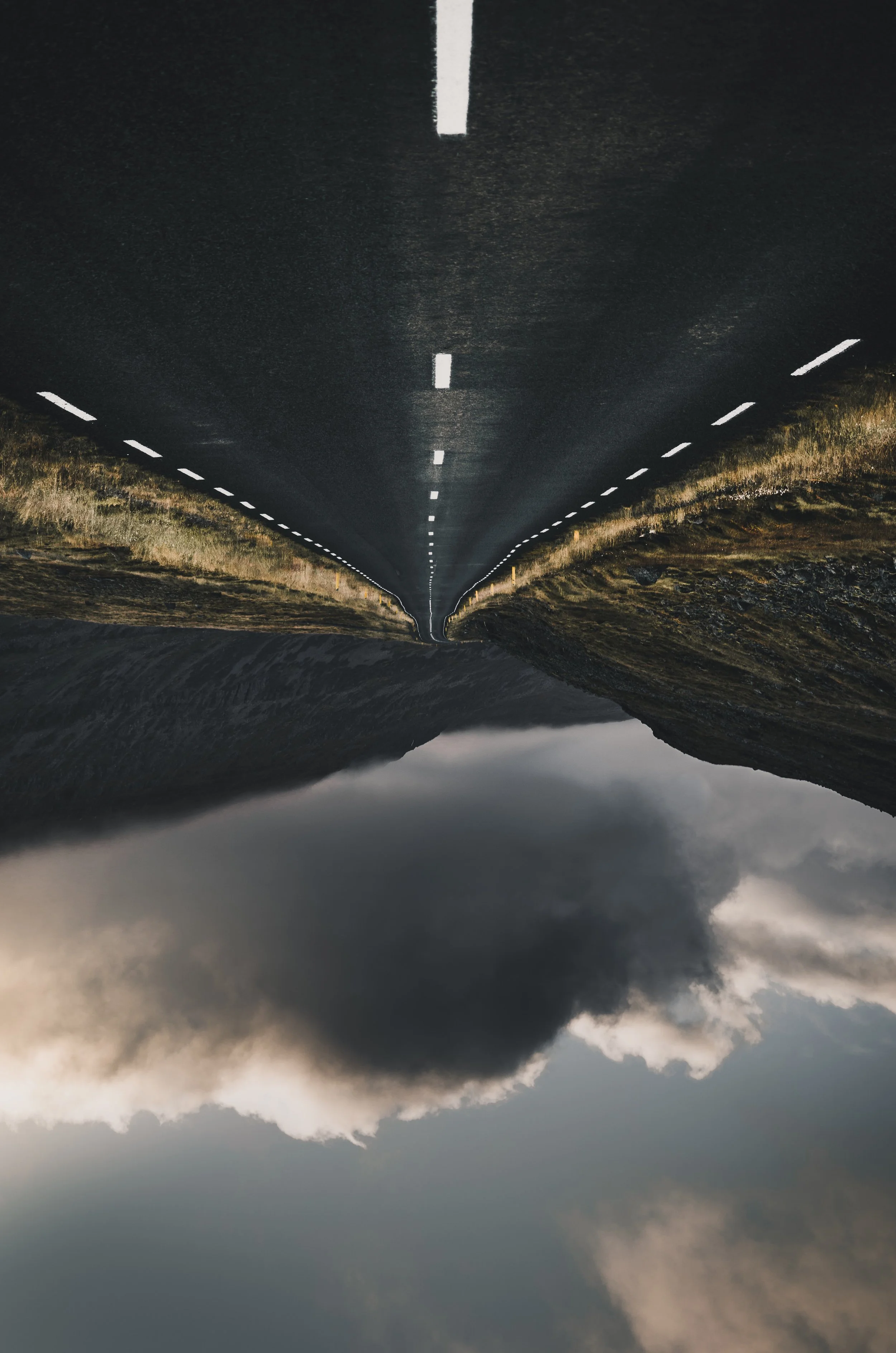 Long Haul banner.jpg