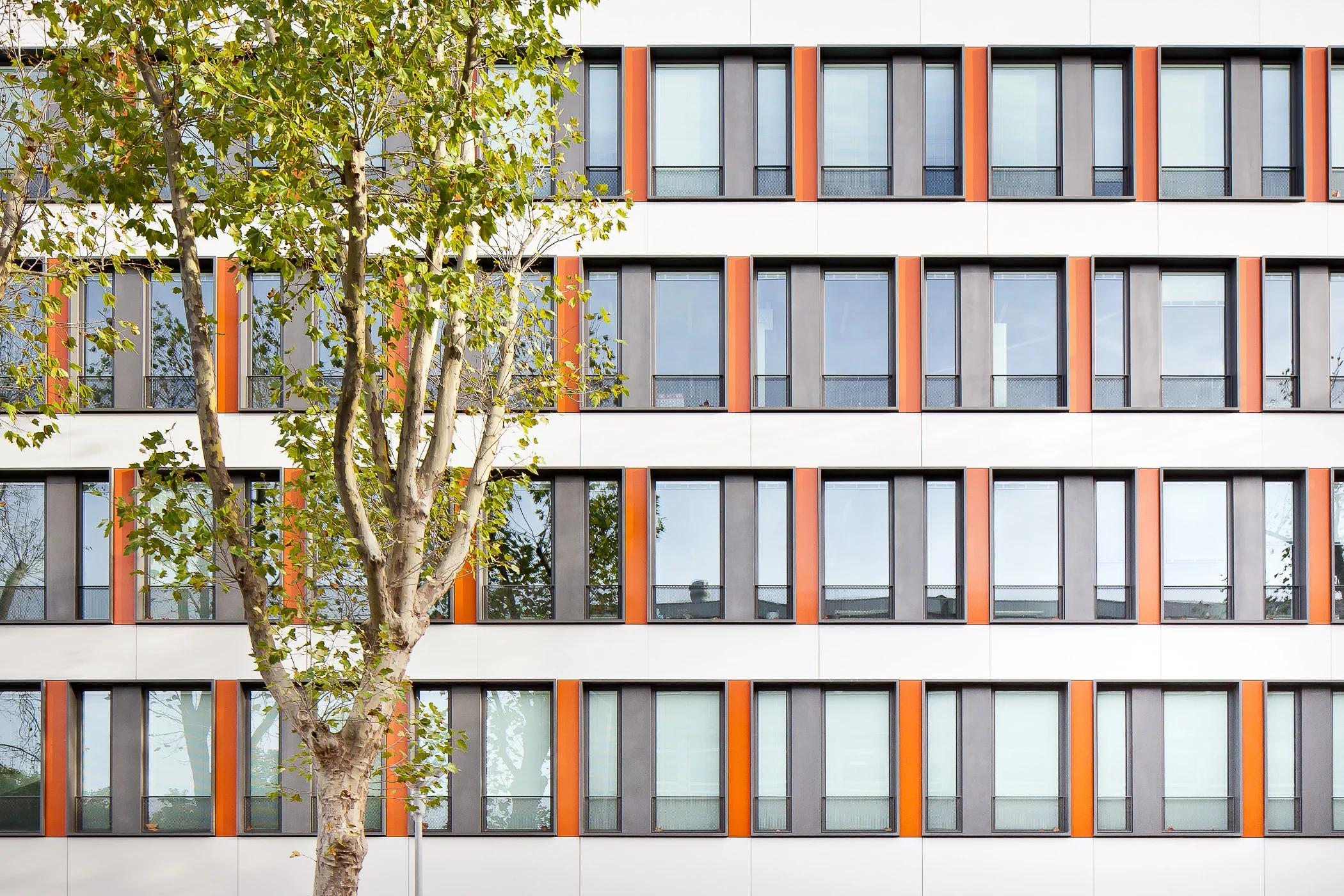 10-Siege de l'ANSES-Barthélémy Grino Architectes-2015.jpg