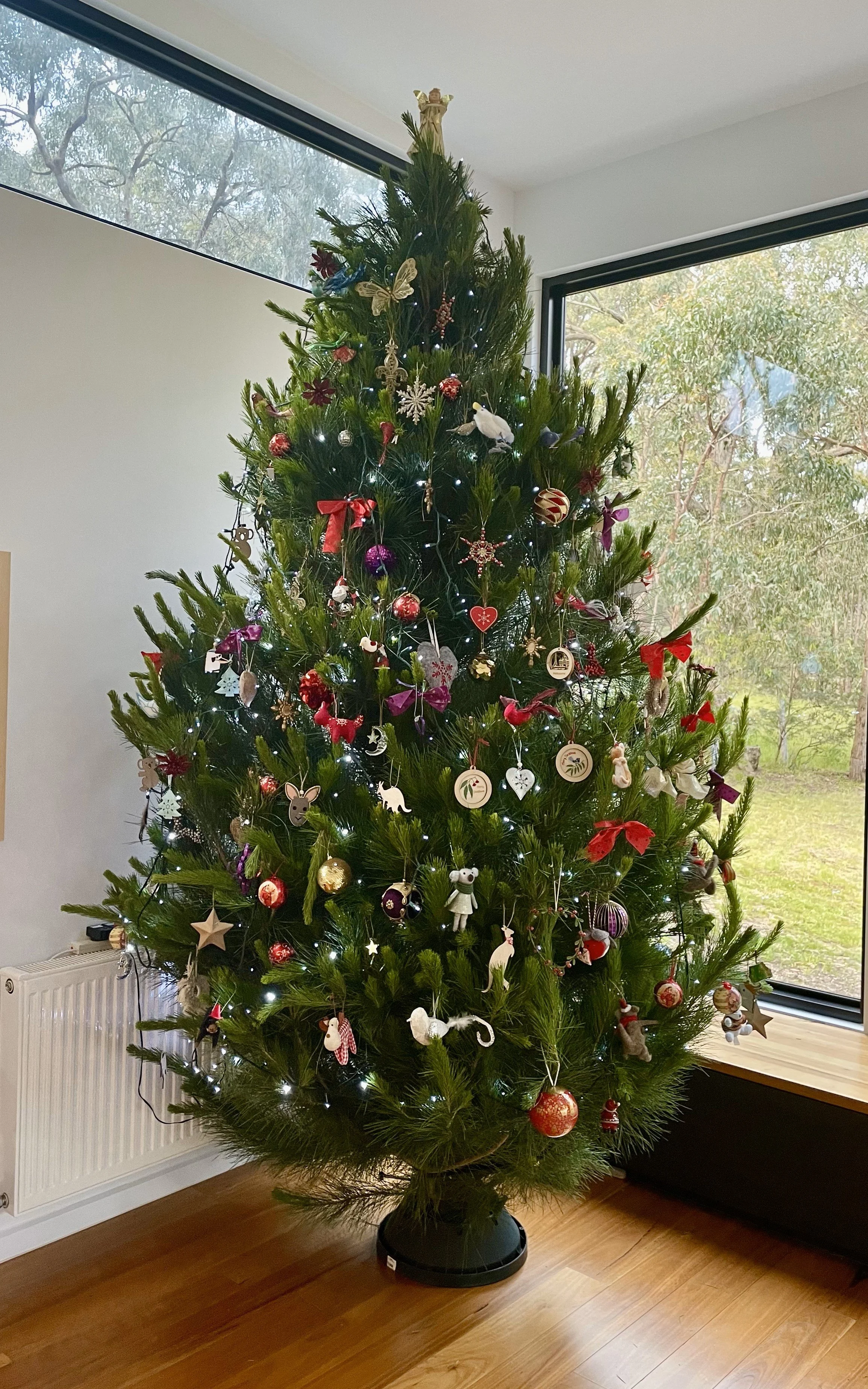 christmas tree.jpg