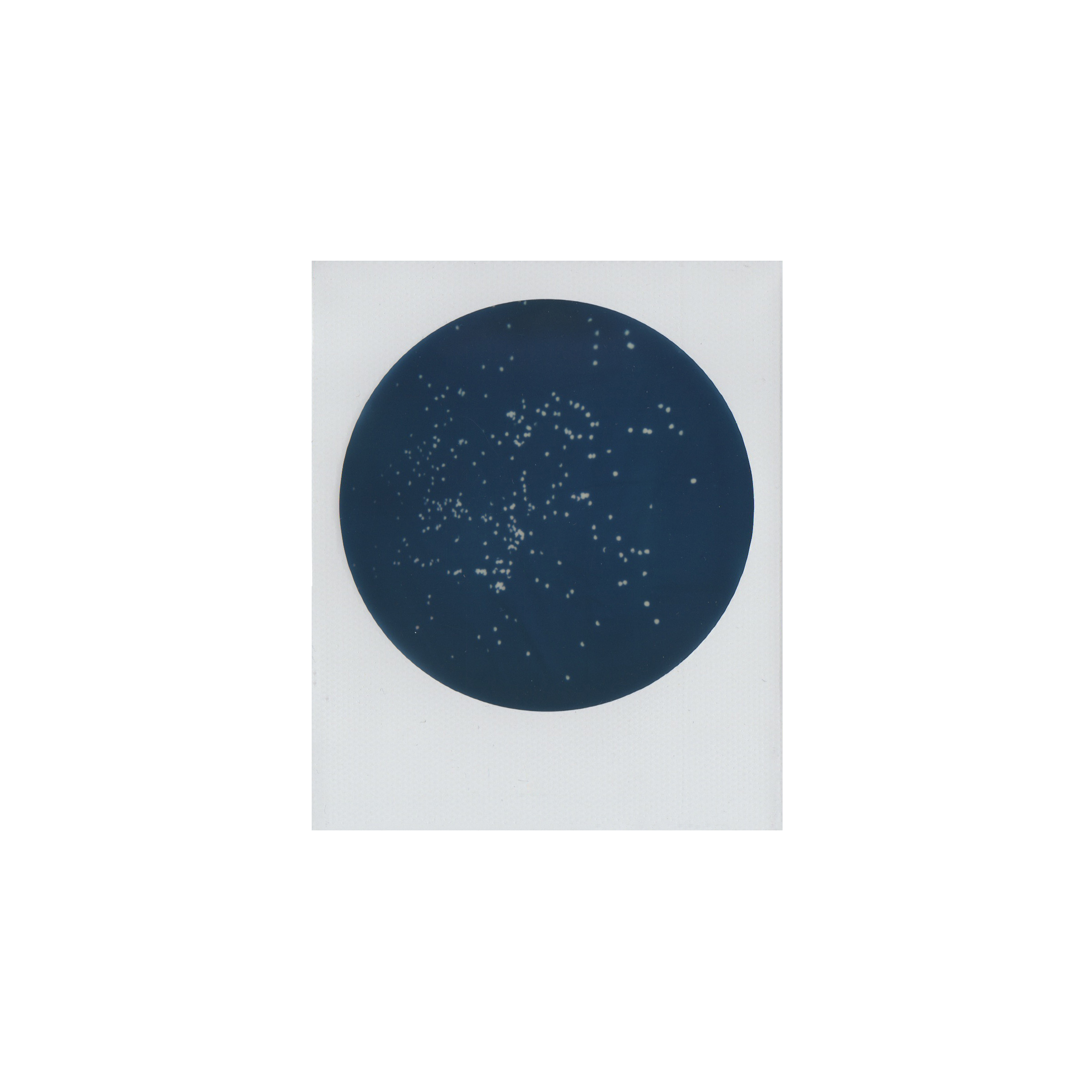   Constellations II  (2015) 