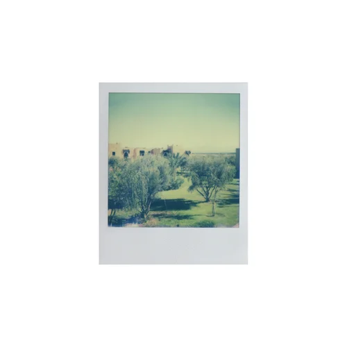  Terra I (2015) 