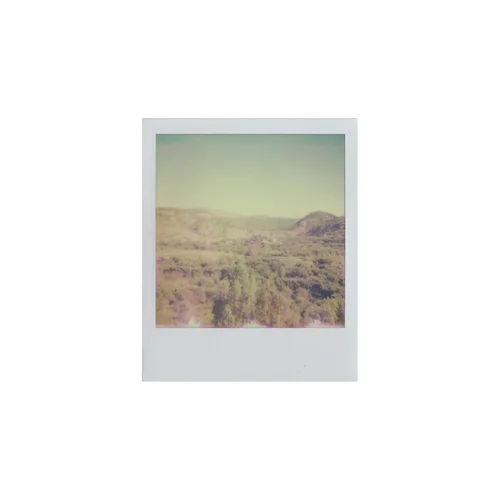  Terra II (2015) 
