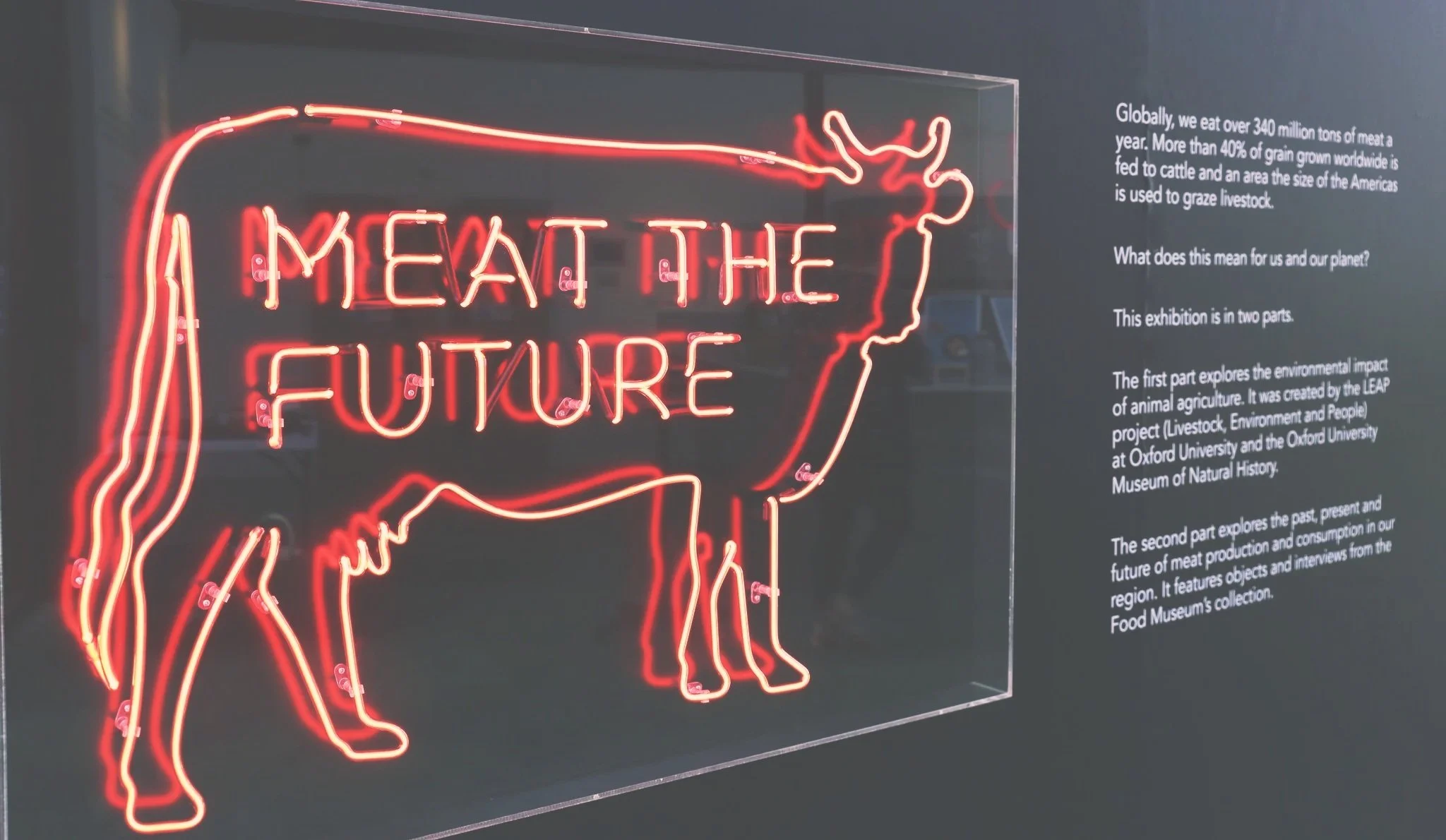 Meat the Future