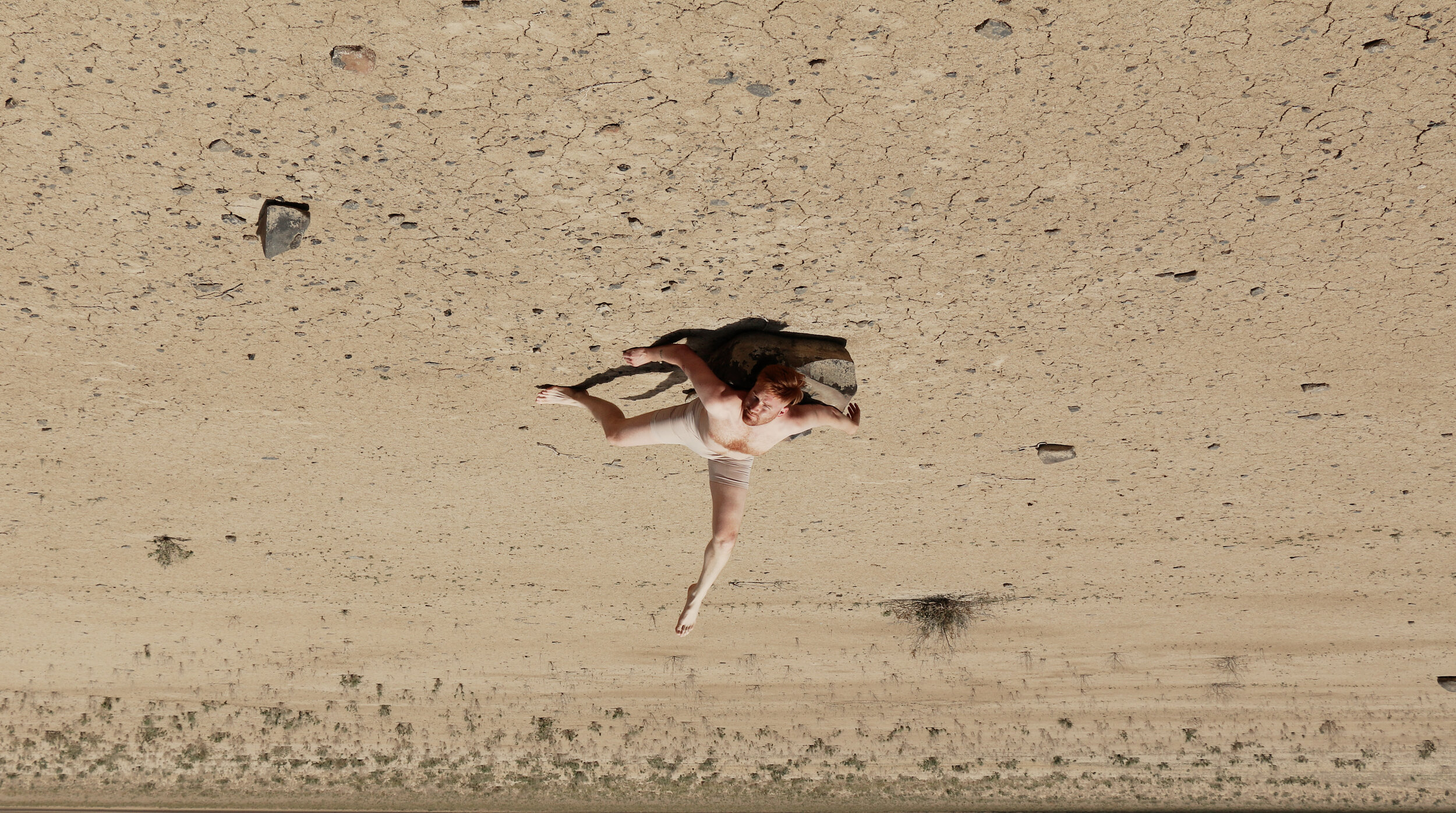 Upsidedown-Crab.jpg