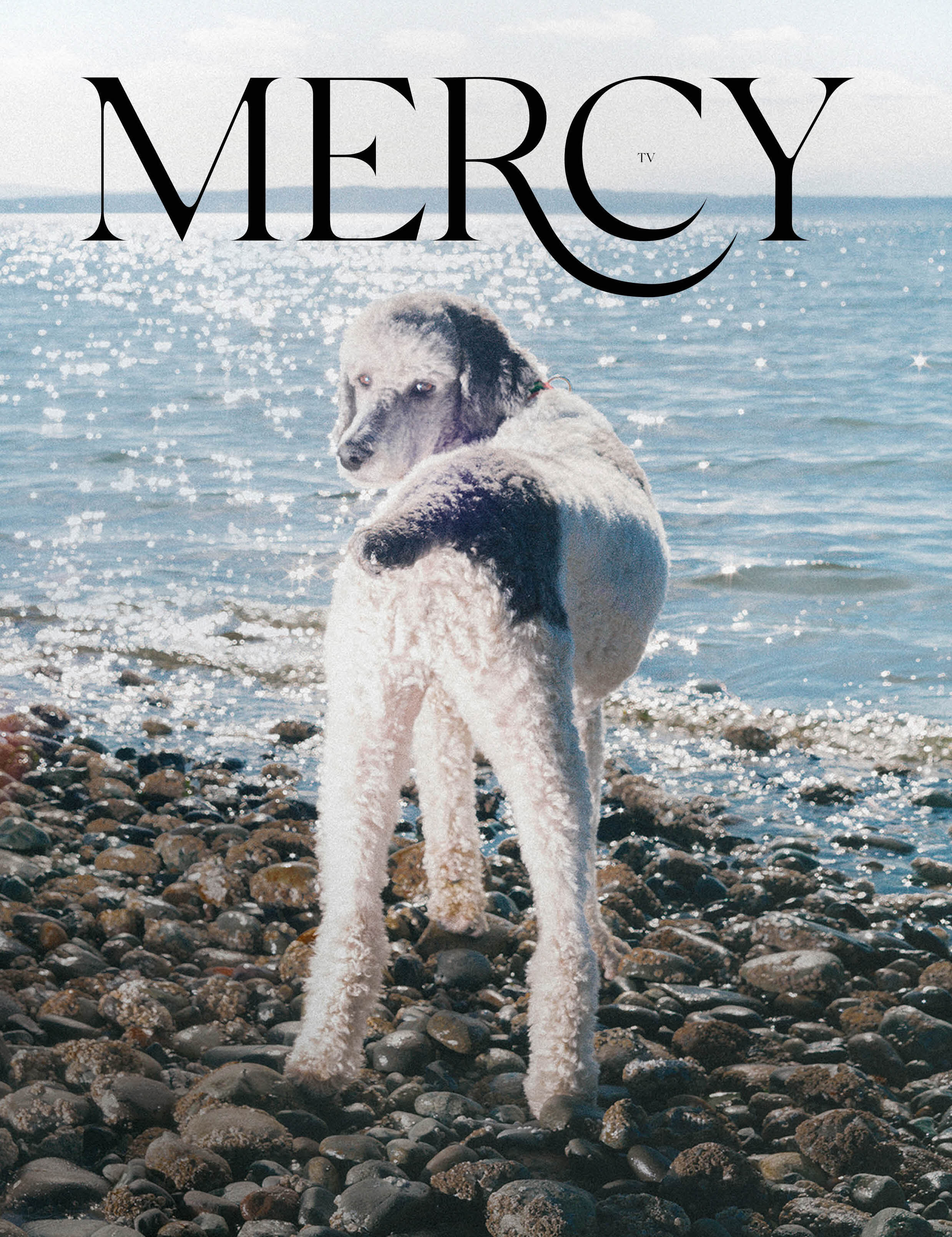 MERCY-DAWG.jpg