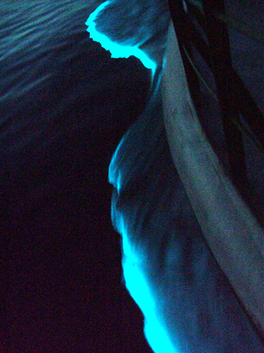Abri_Beluga: Flickr.com