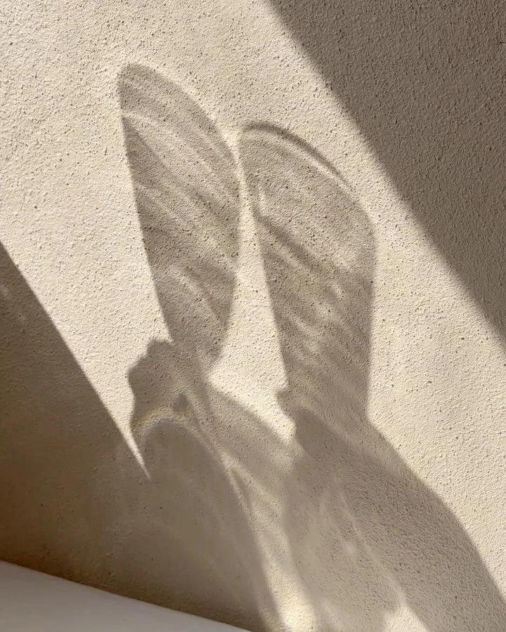 🥂 Cheers to sunlight and the little rituals that make a house feel like home. There’s a certain kind of magic in Mediterranean living - where lemons scent the air, water glows gold in the sun, and even the simplest toast feels like a cele