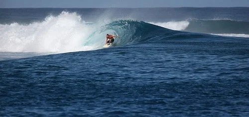 The Steward of Stoke